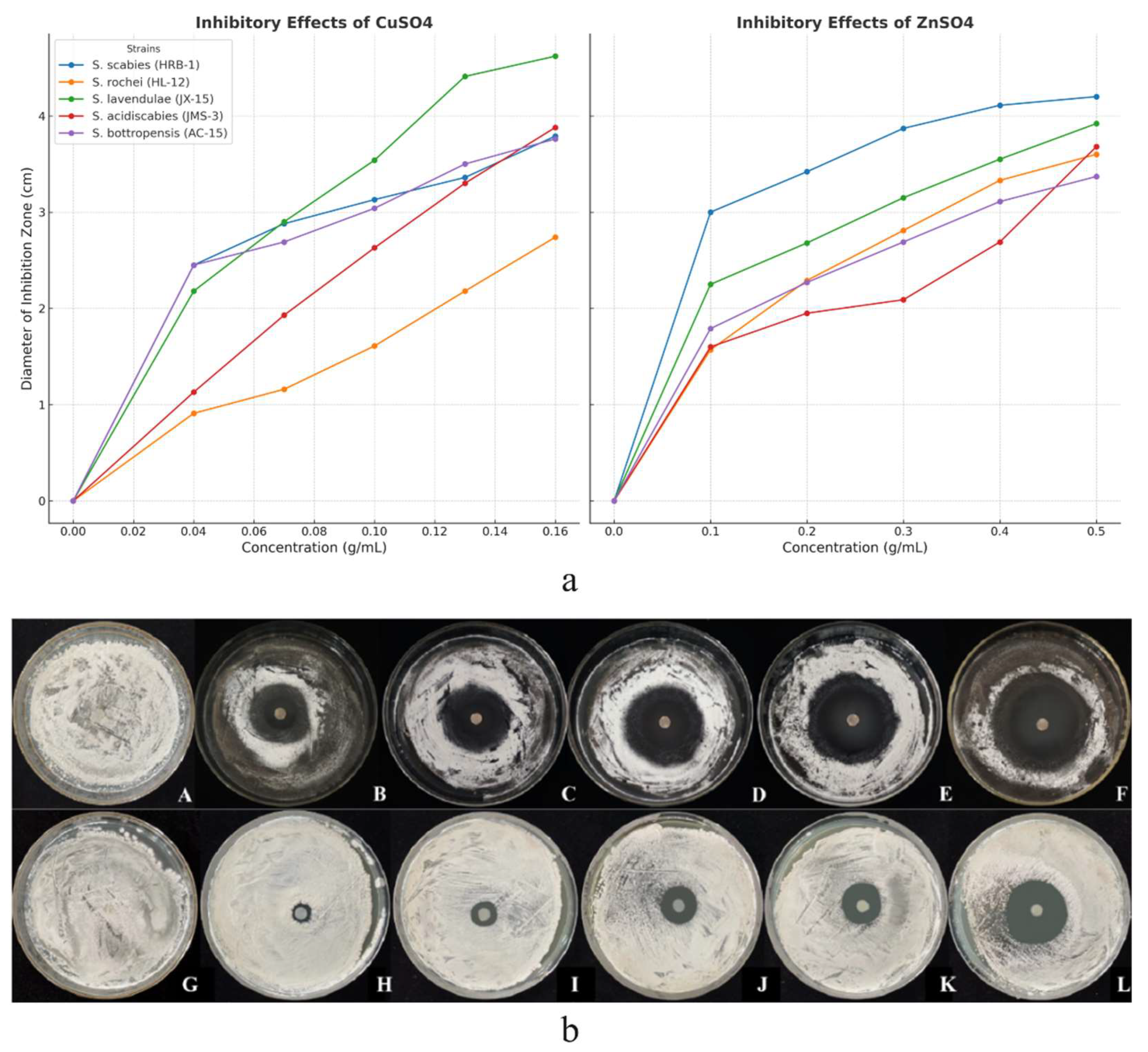 Preprints 154418 g001