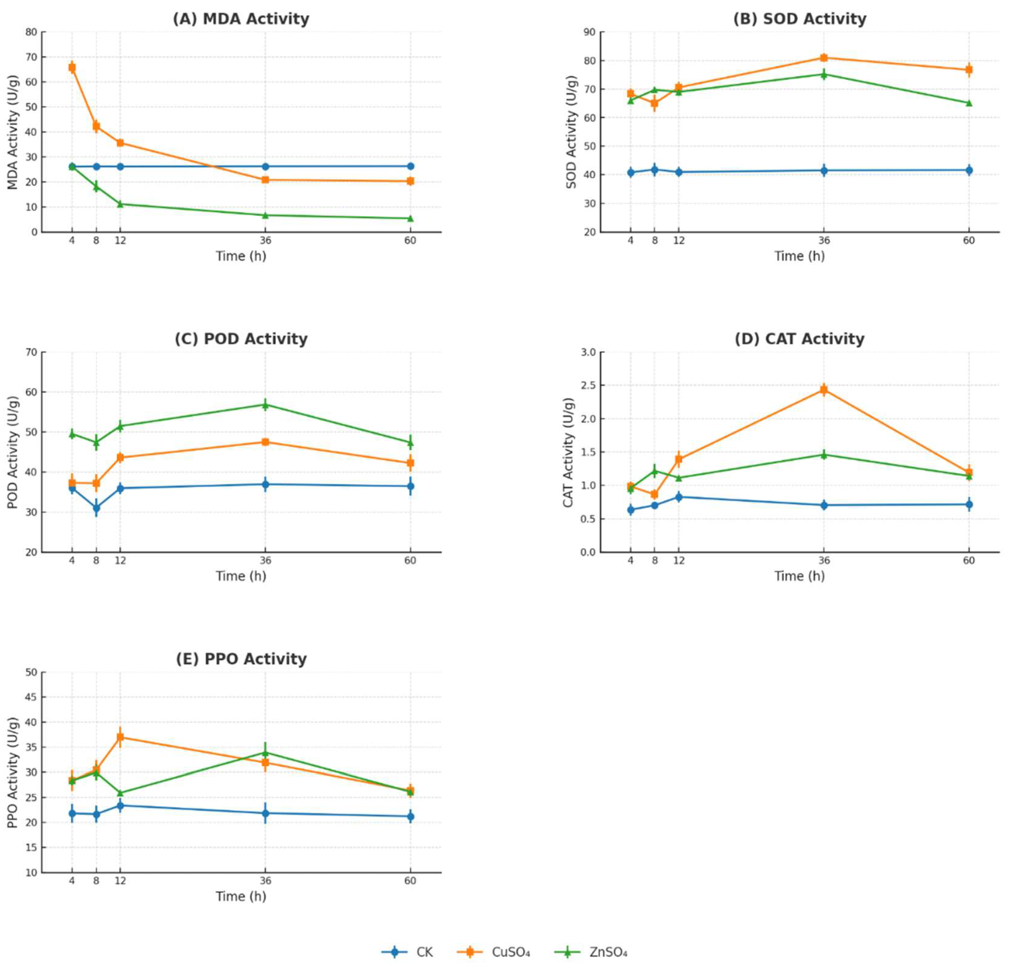 Preprints 154418 g009