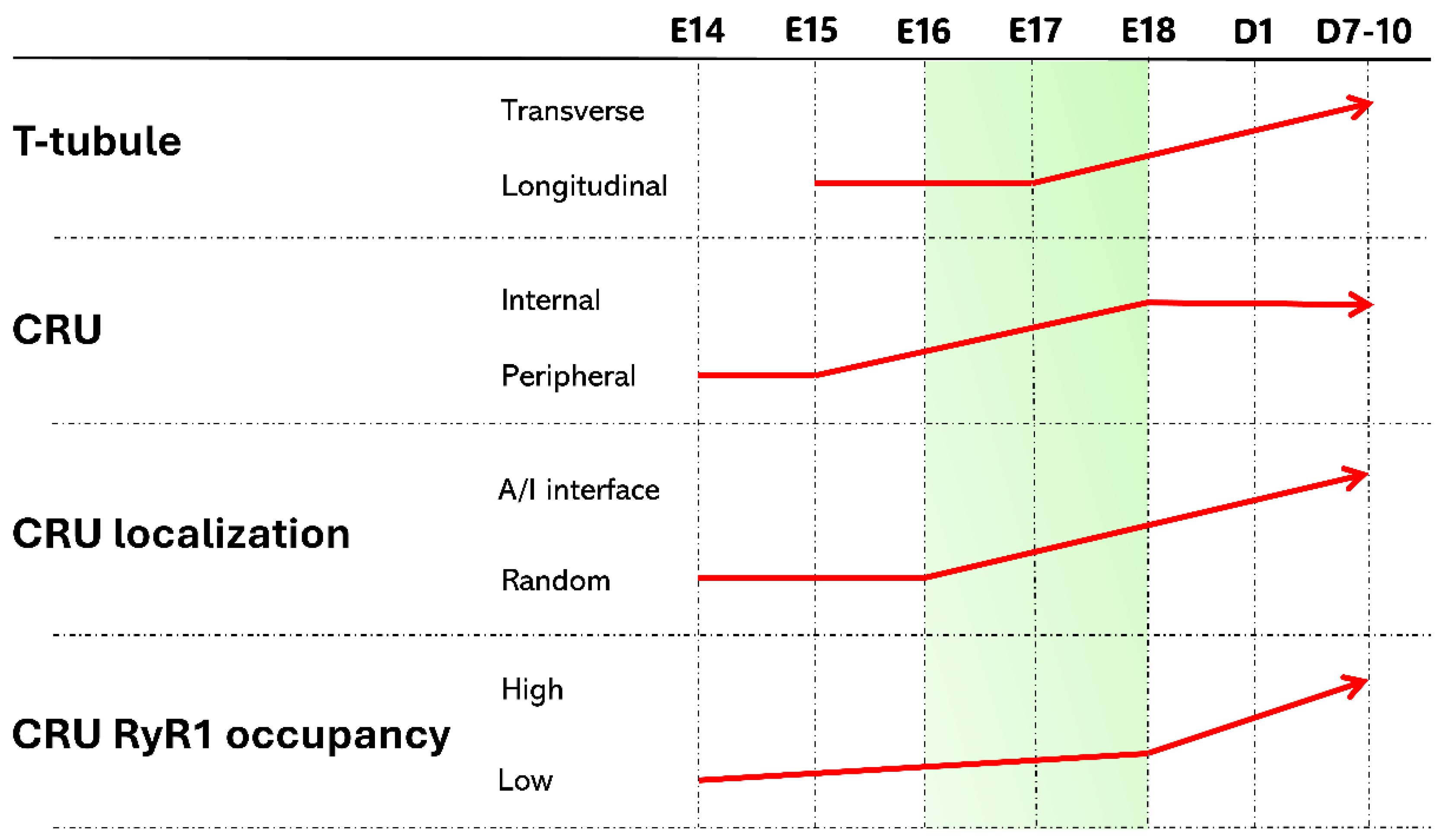 Preprints 143868 g002