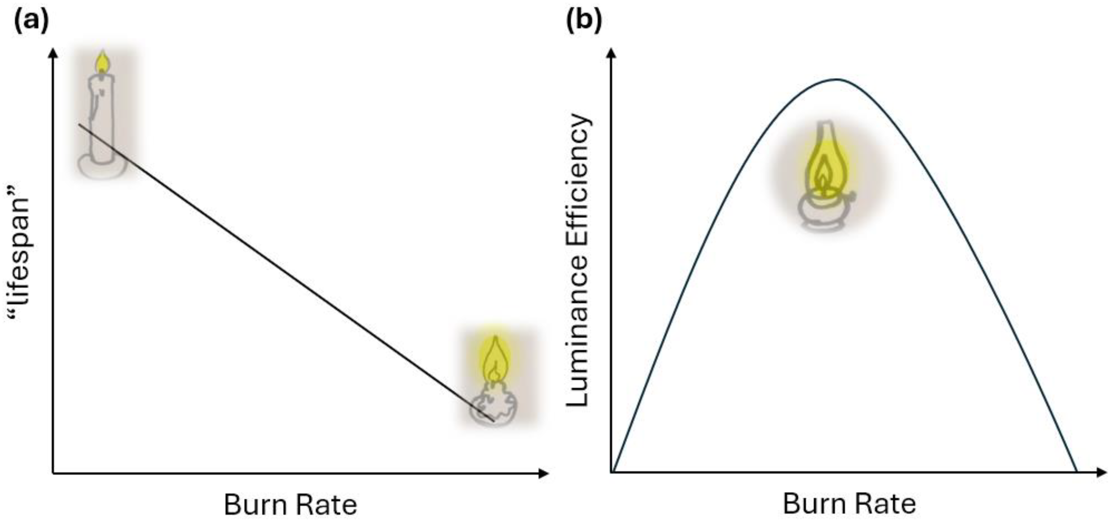 Preprints 199554 g001