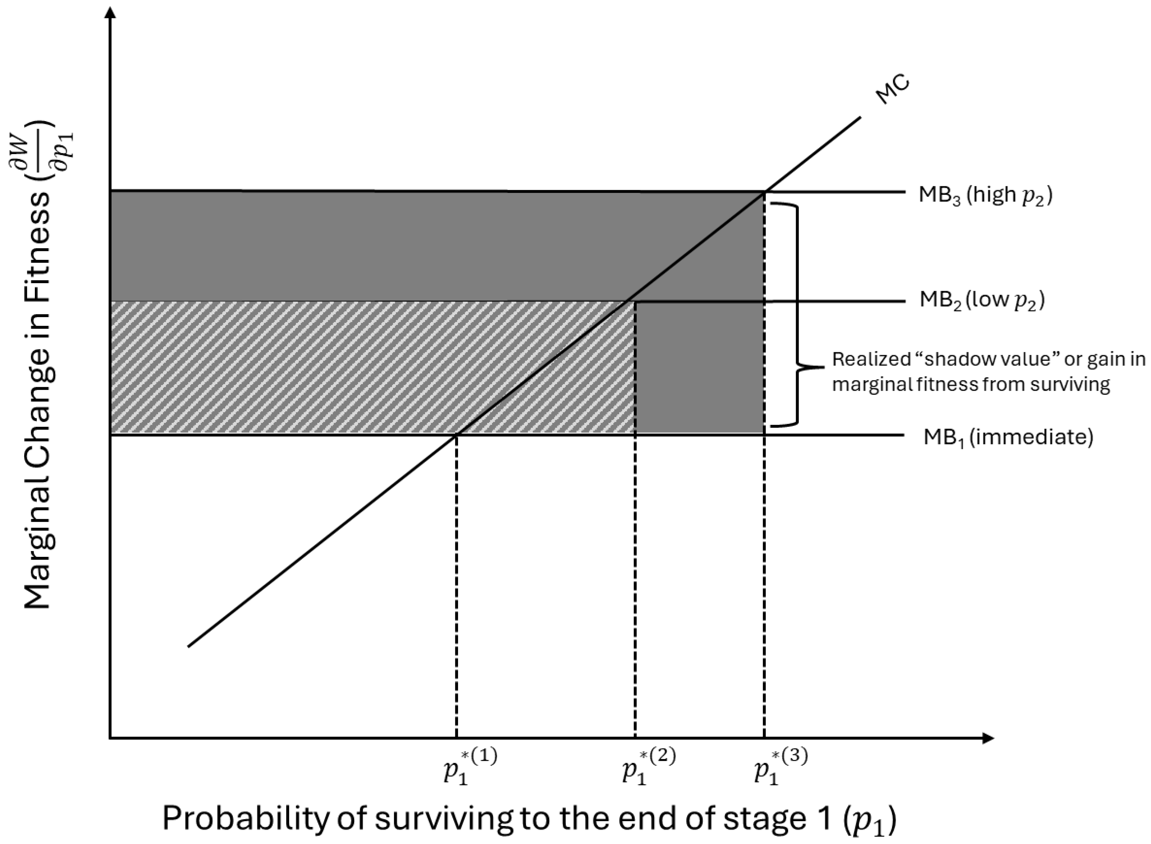 Preprints 199554 g002