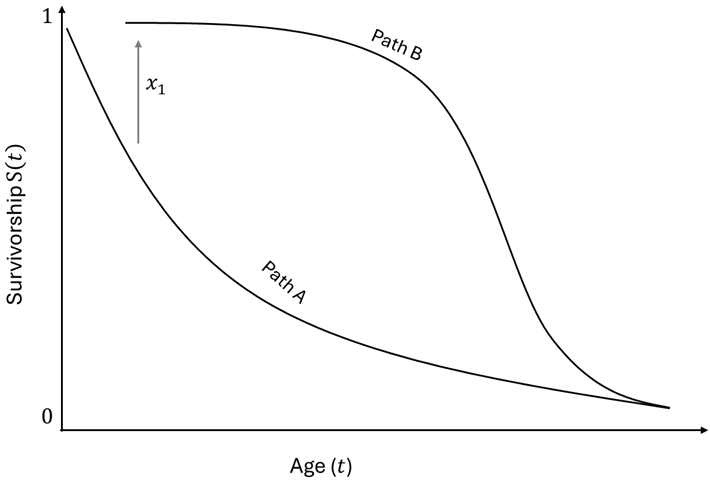 Preprints 199554 i001