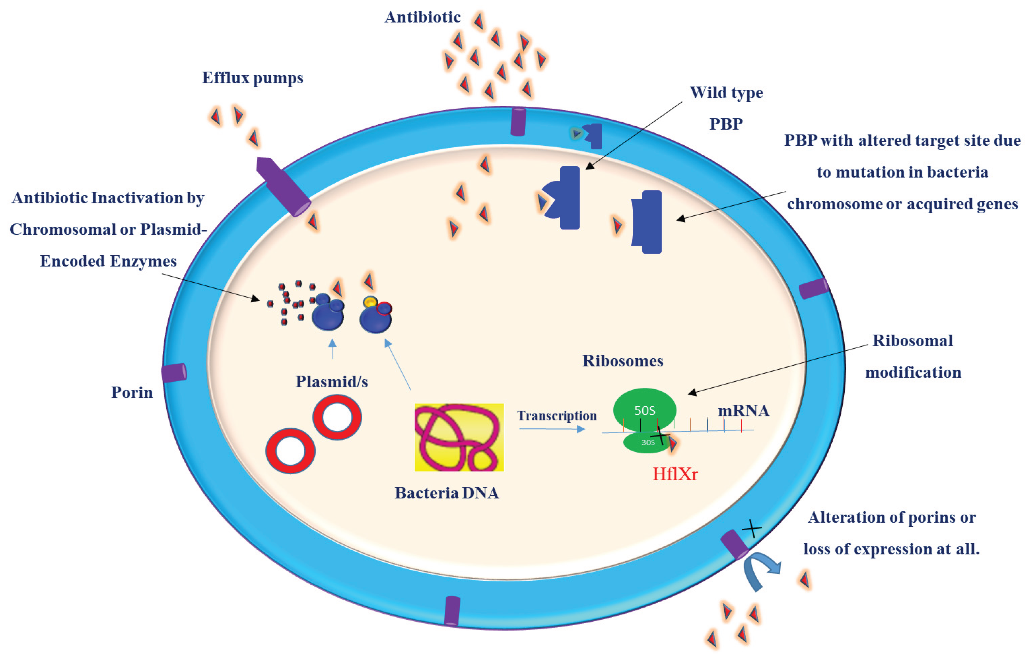 Preprints 184848 g001