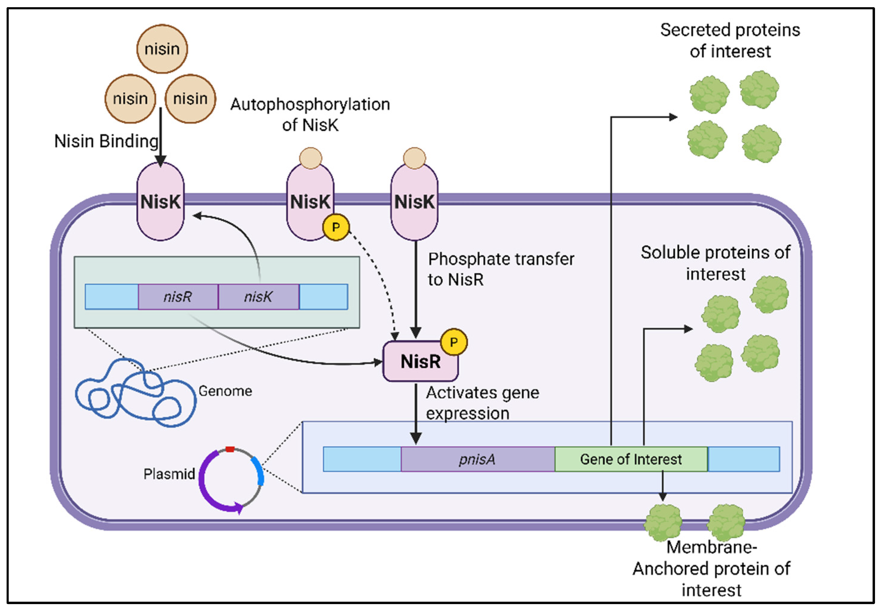 Preprints 186956 g001