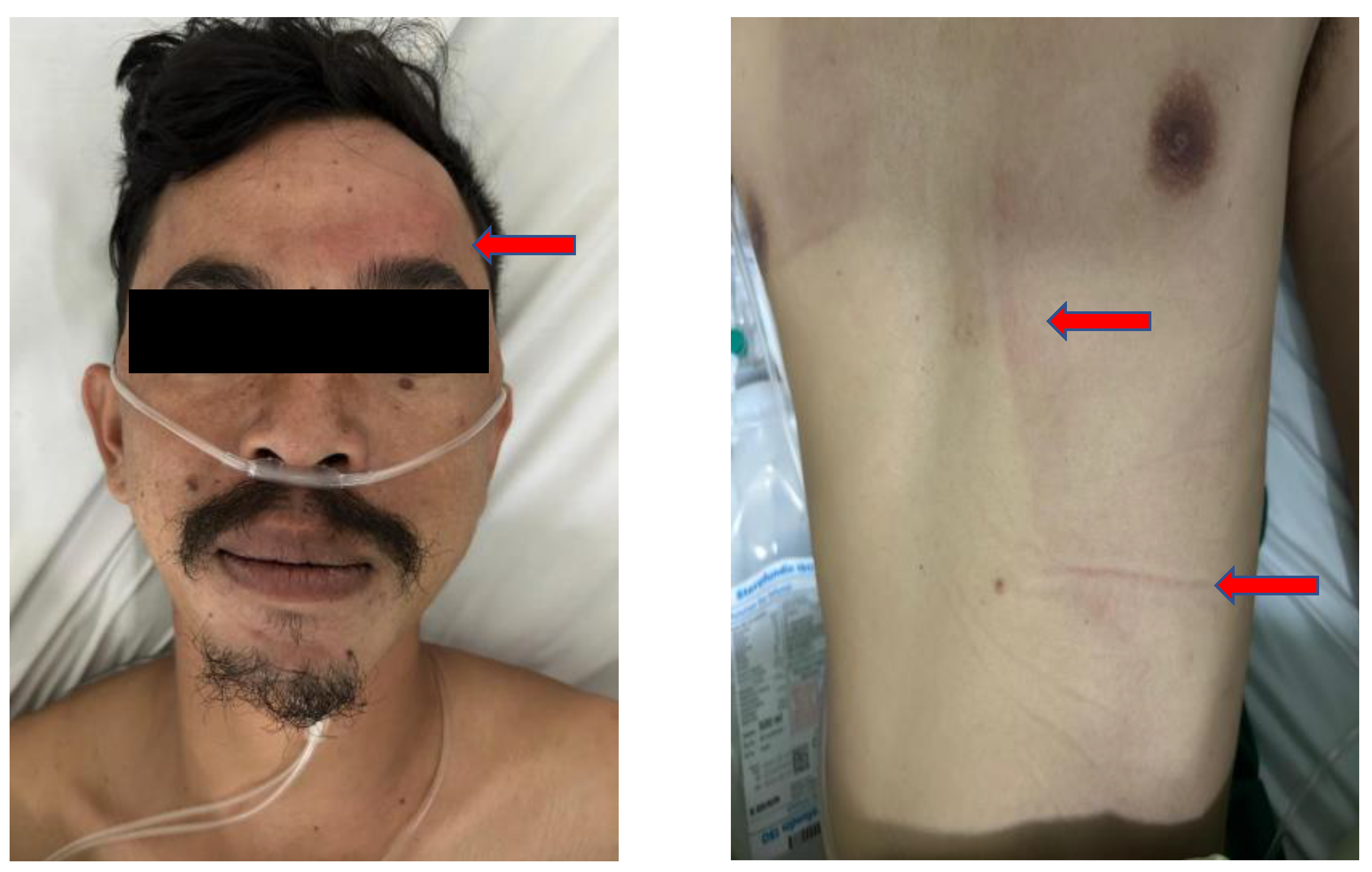 Preprints 193586 g001