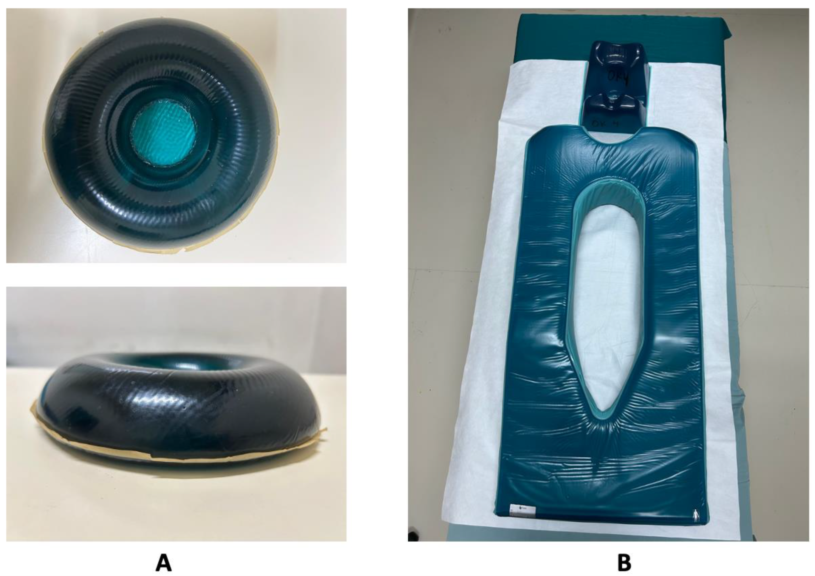 Preprints 193586 g002