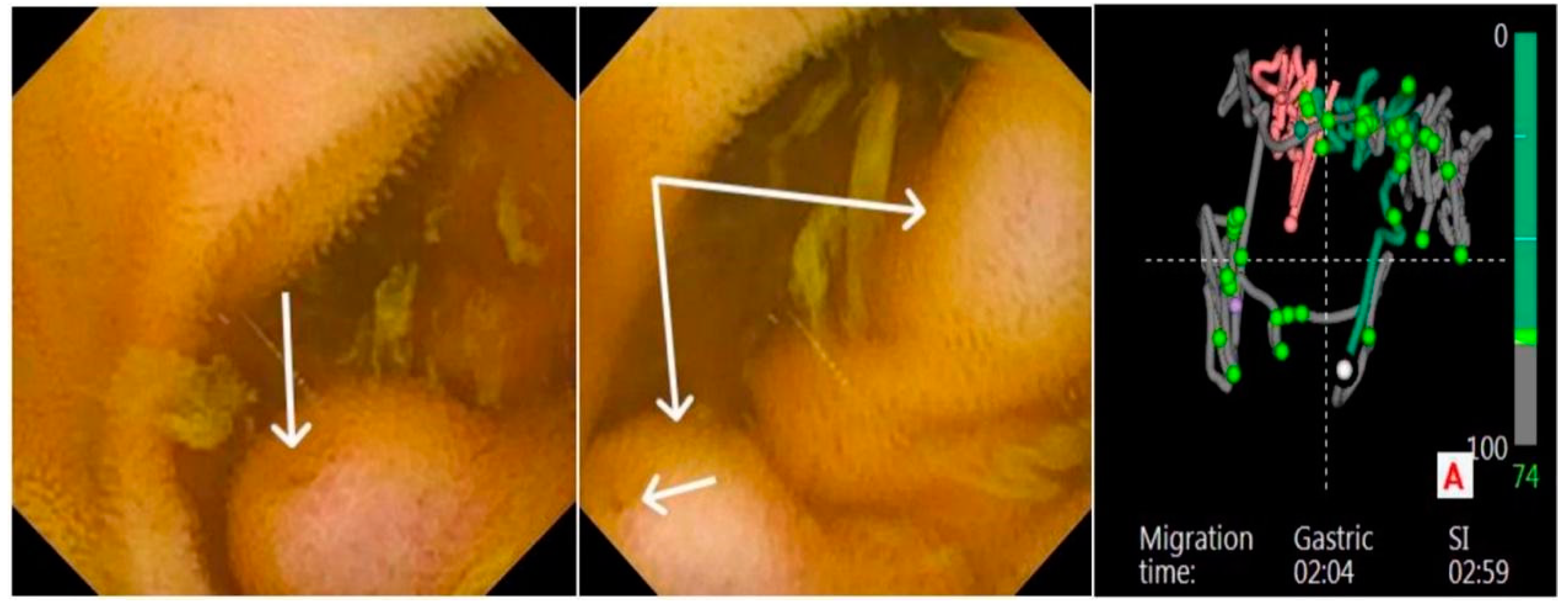Preprints 141839 g002
