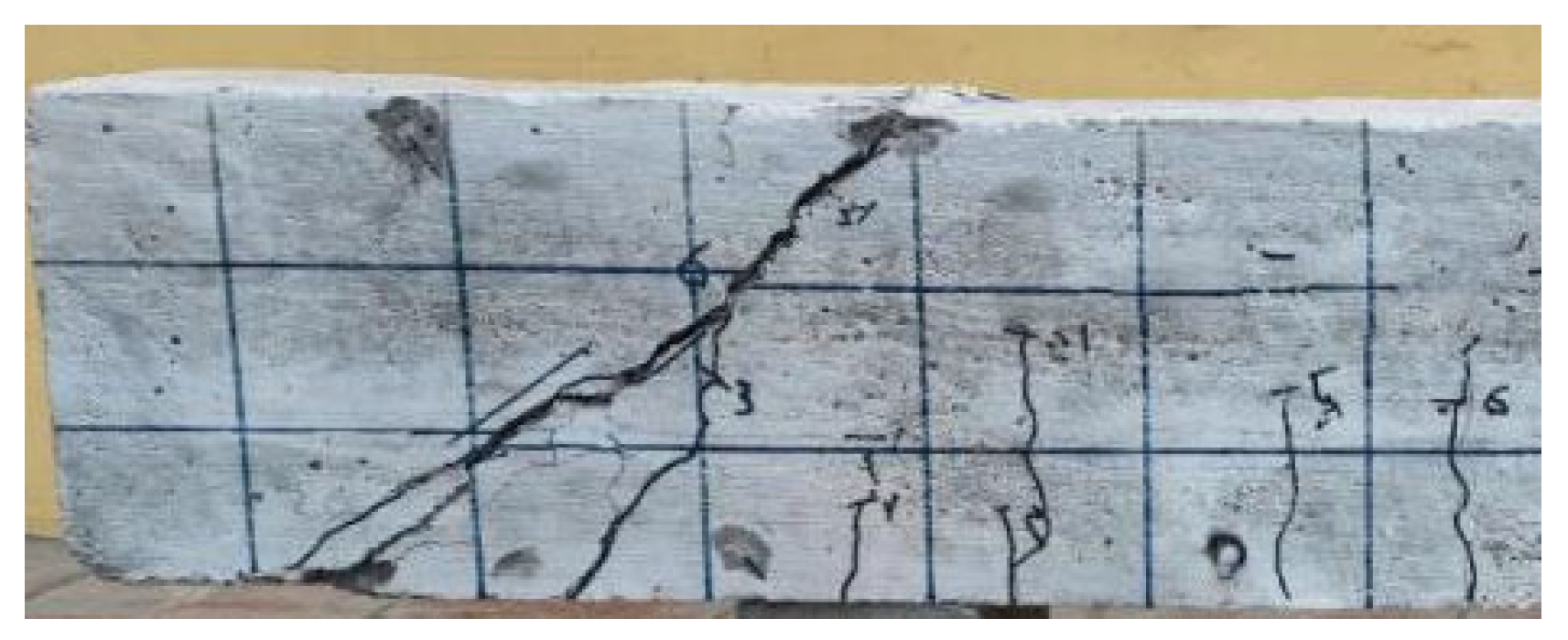 Preprints 191968 g003