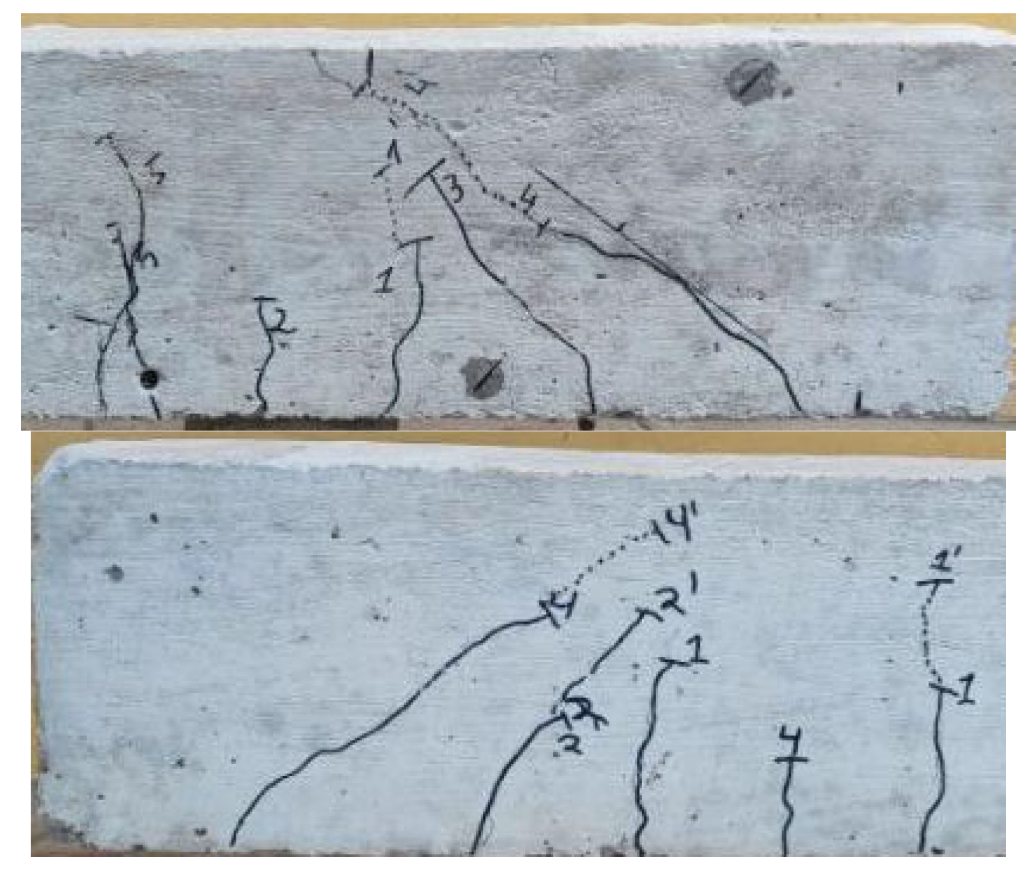 Preprints 191968 g004