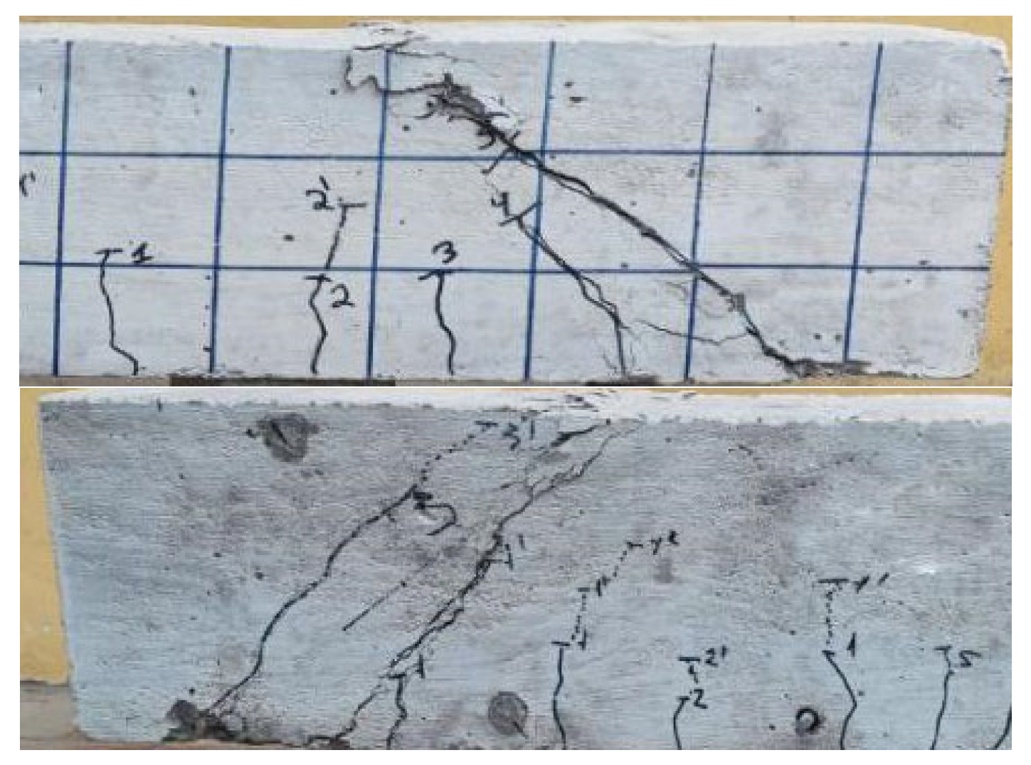 Preprints 191968 g005