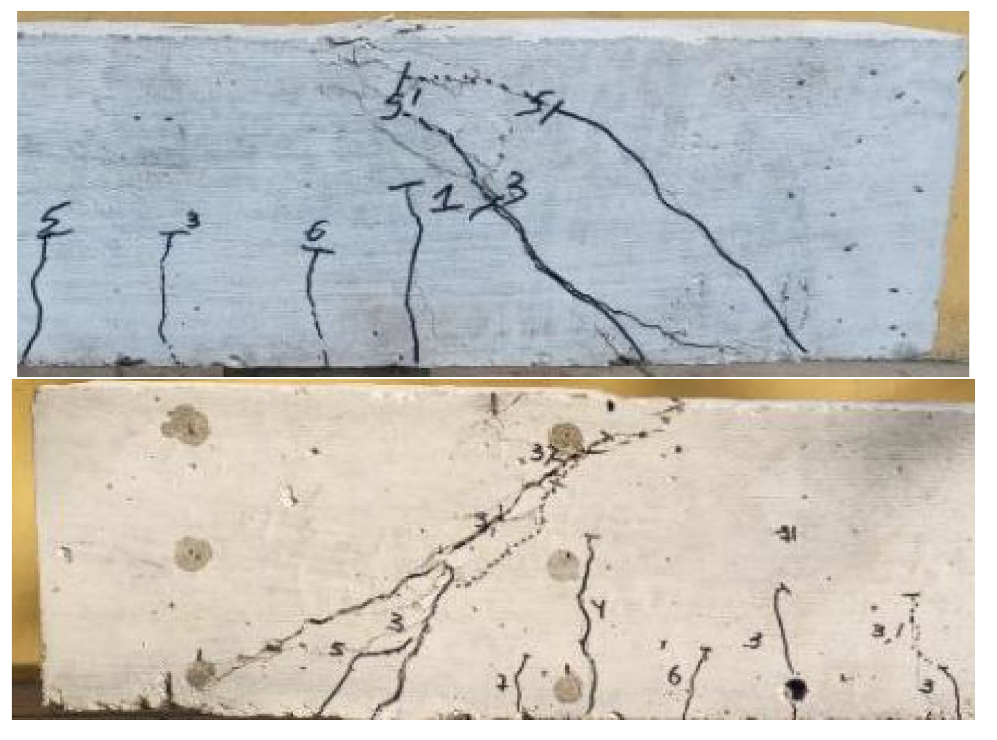 Preprints 191968 g006