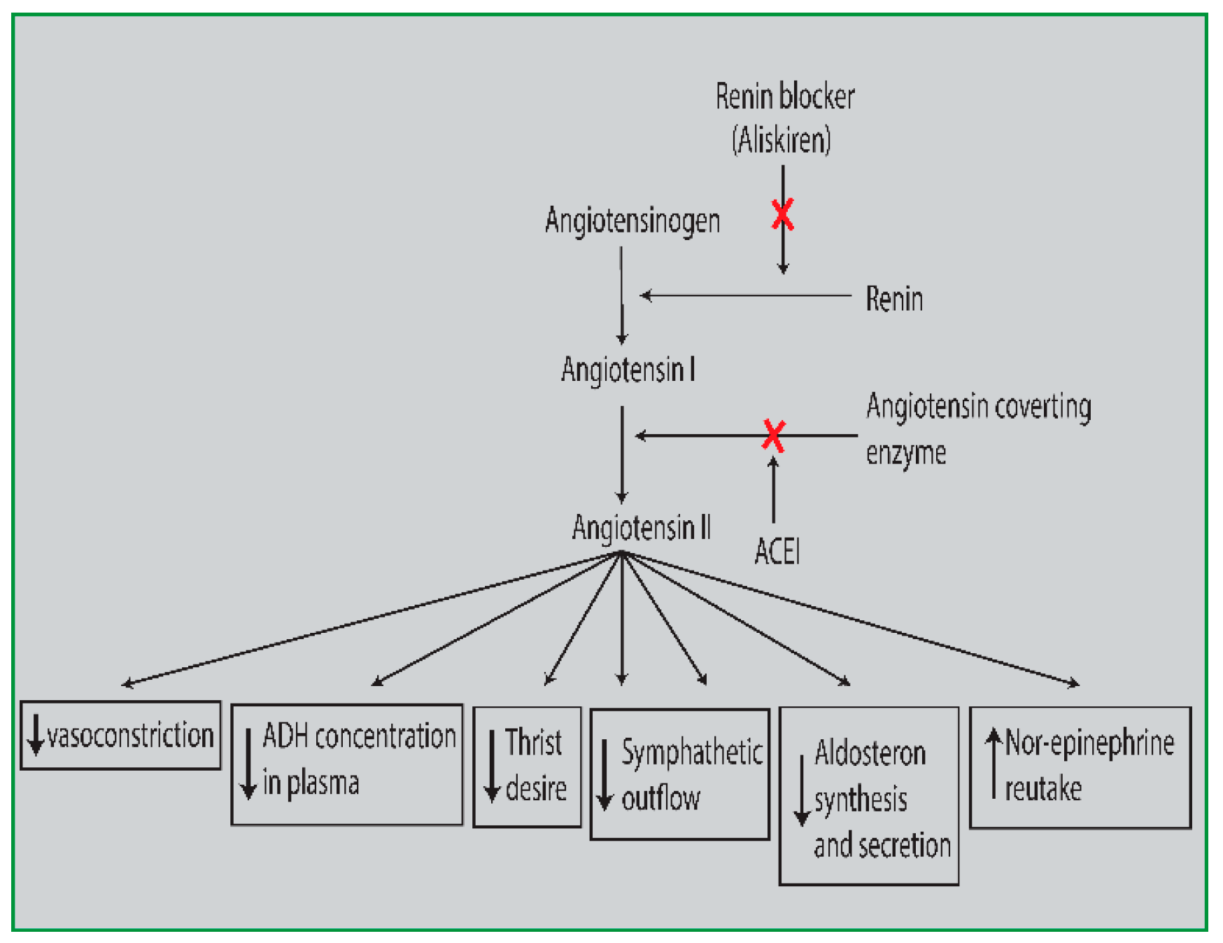 Preprints 98946 g001
