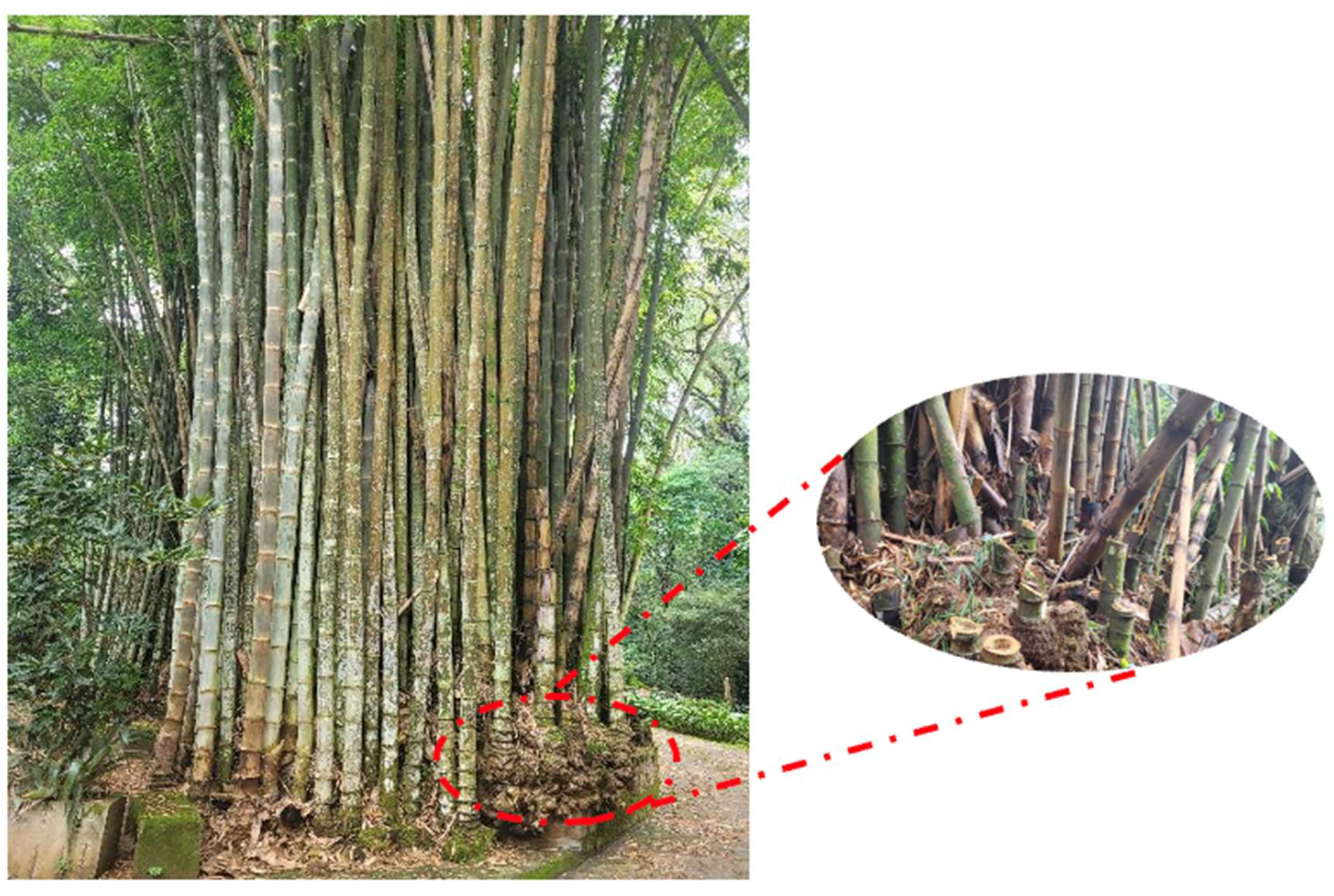 Preprints 144837 g010