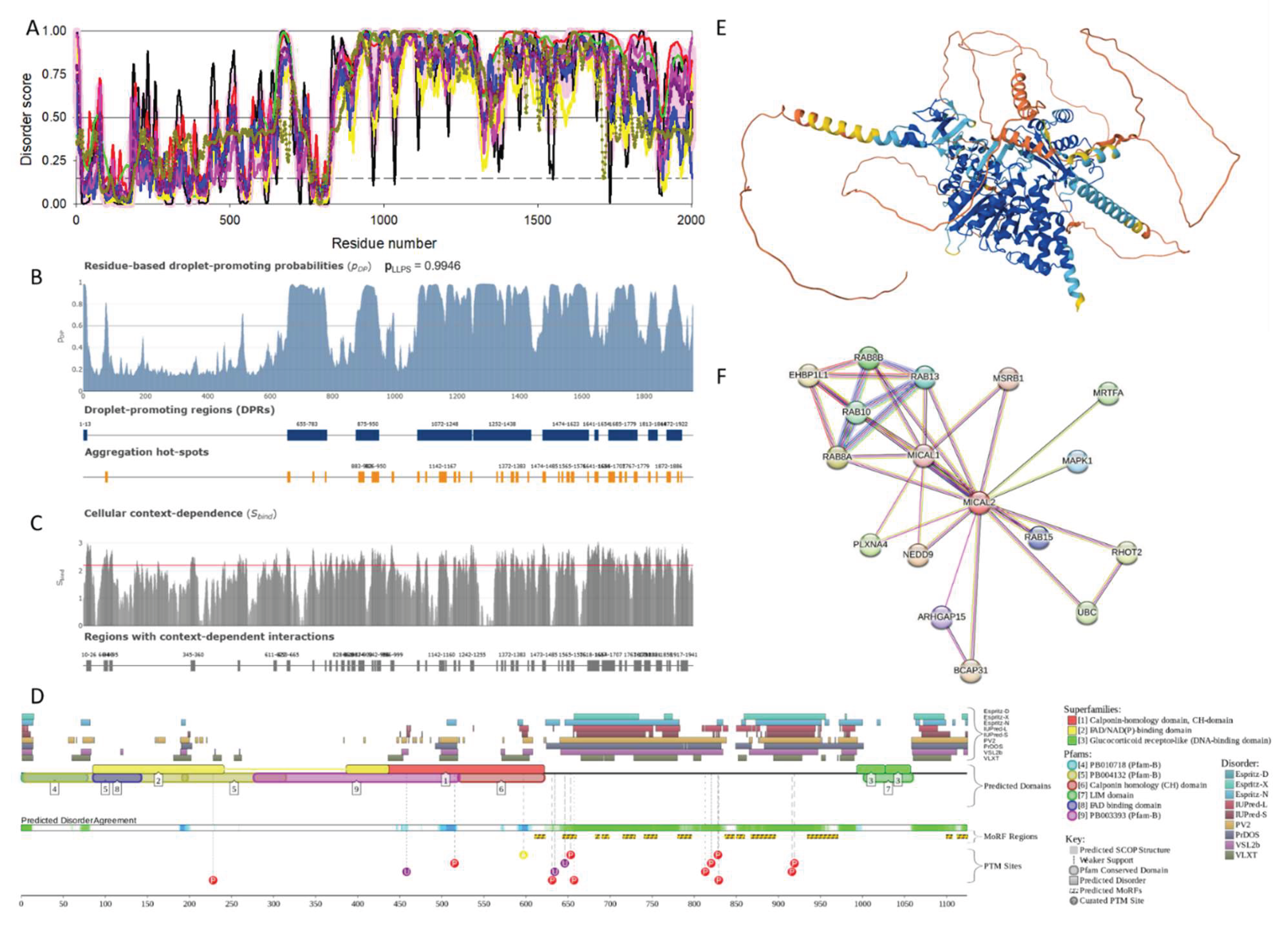 Preprints 161005 g002