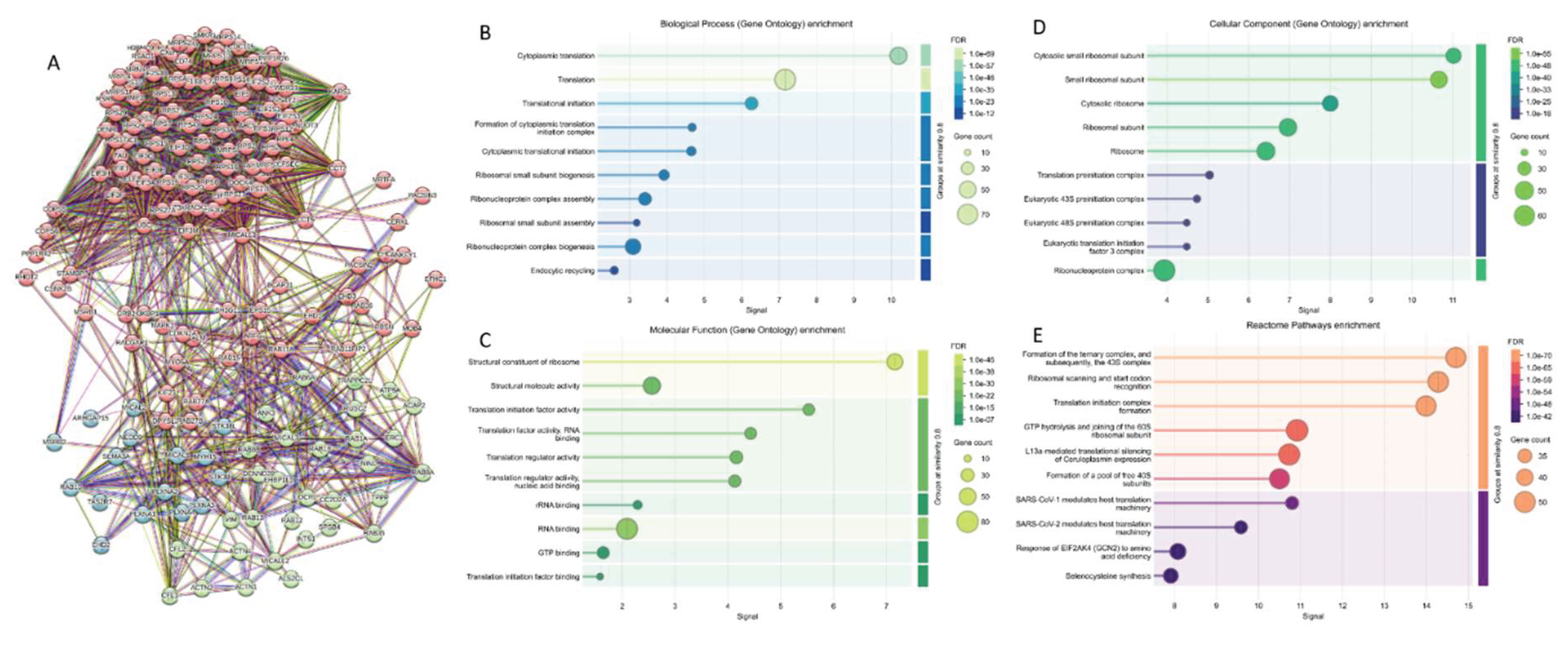 Preprints 161005 g006