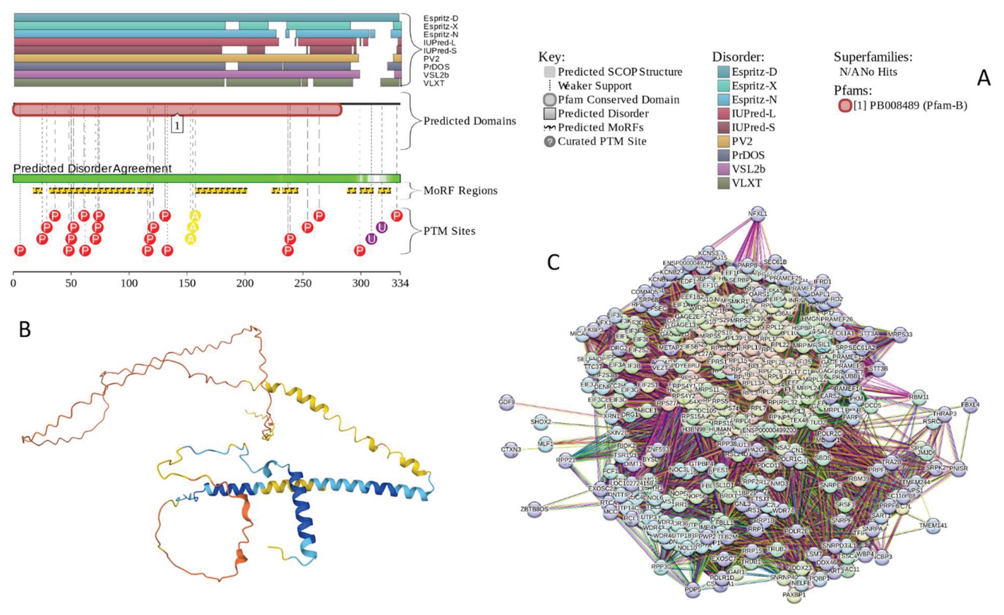 Preprints 161005 g010