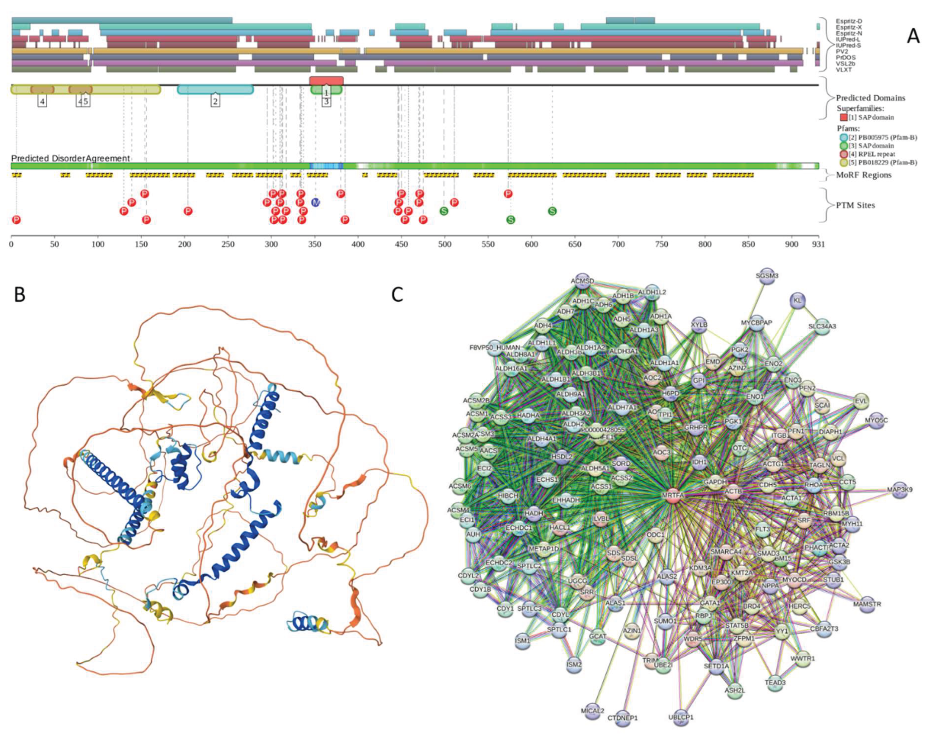 Preprints 161005 g011