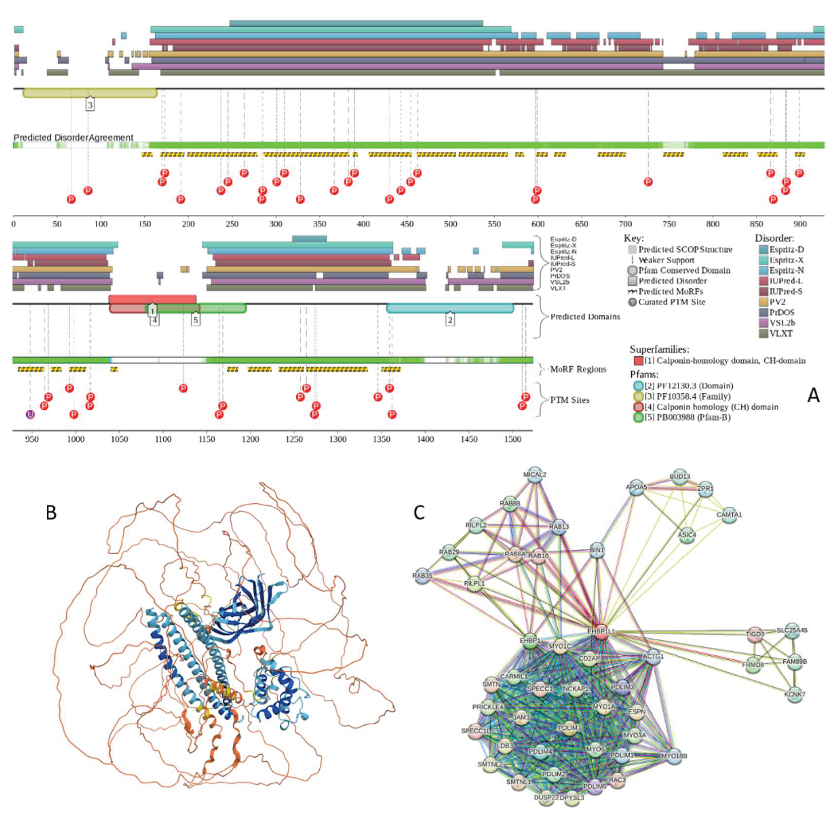 Preprints 161005 g013