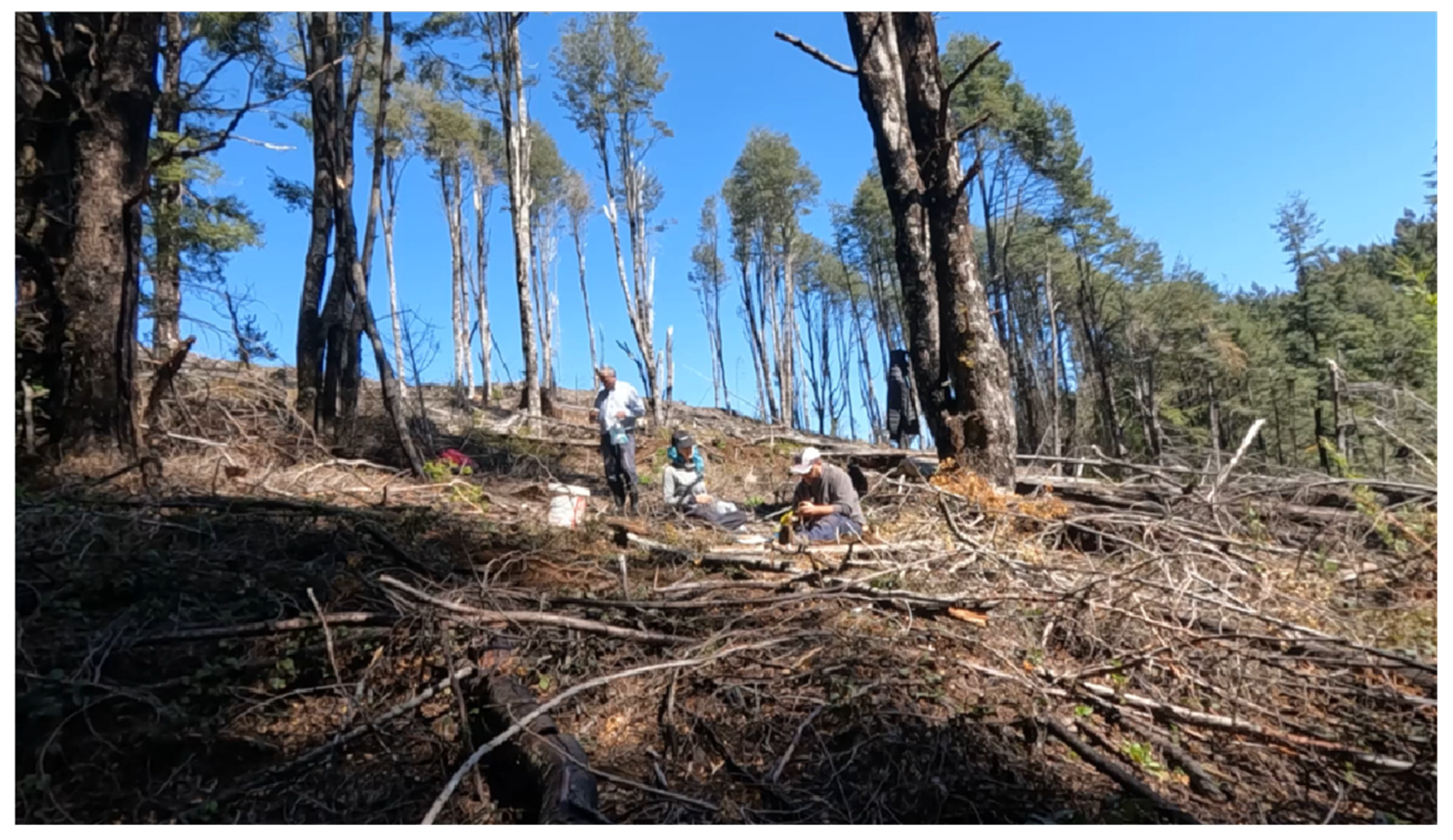 Preprints 77549 g001