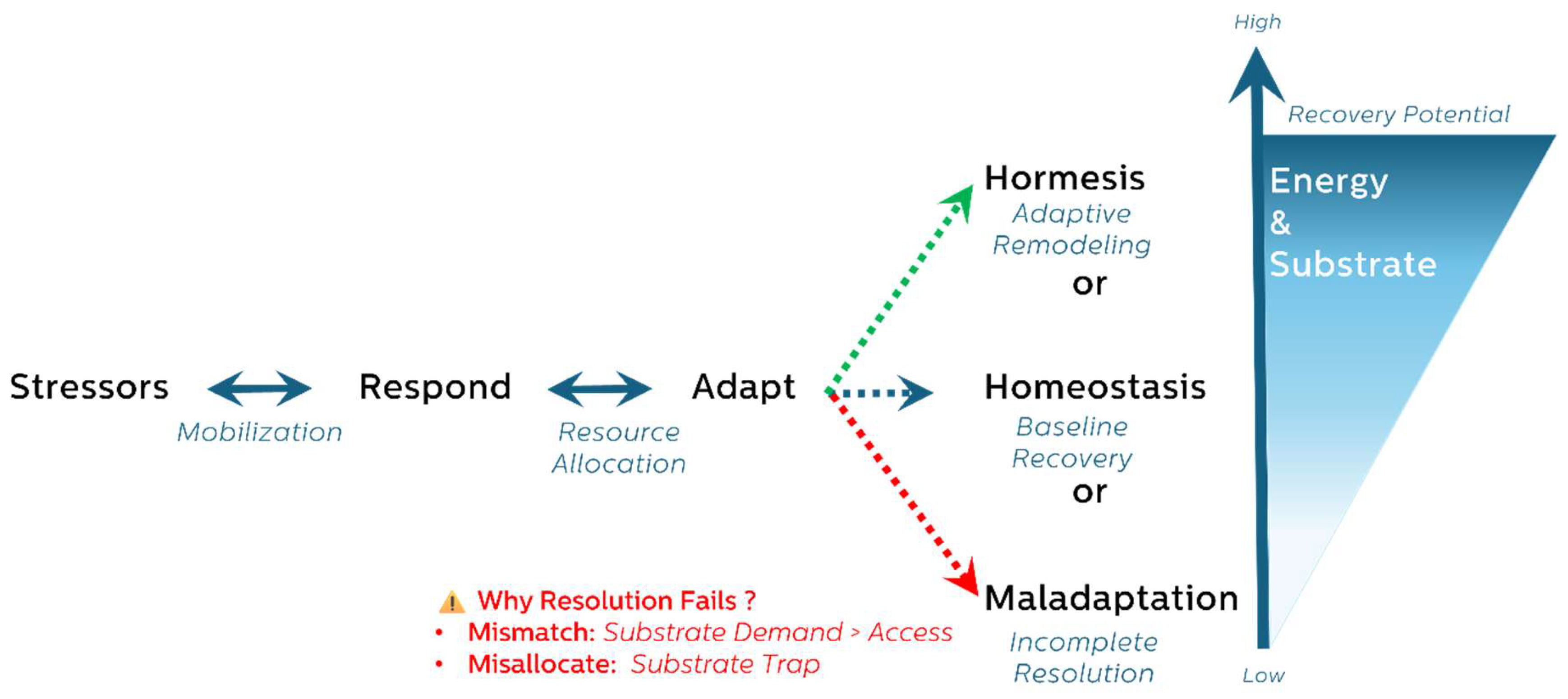 Preprints 155588 g001
