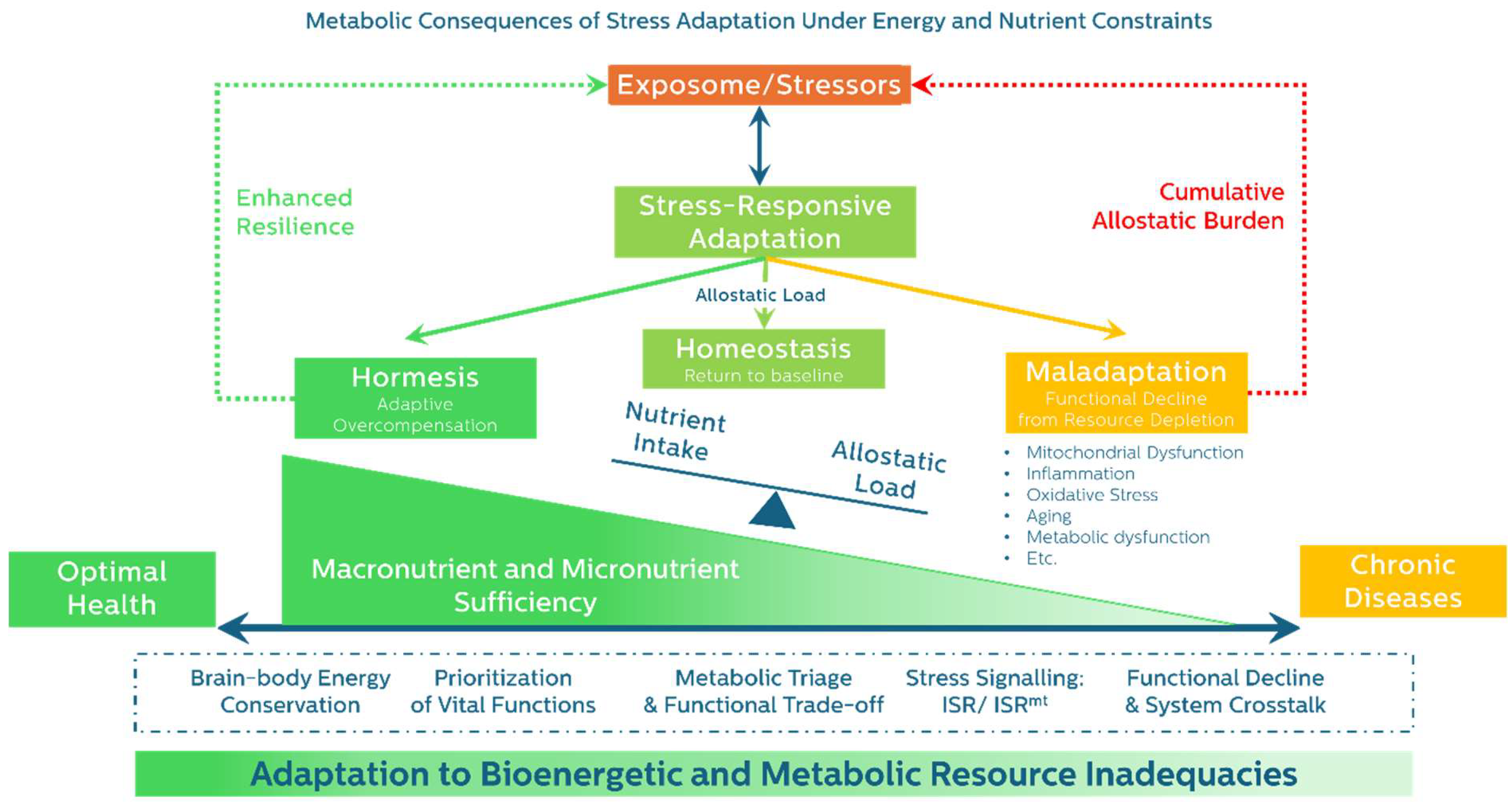 Preprints 155588 g002