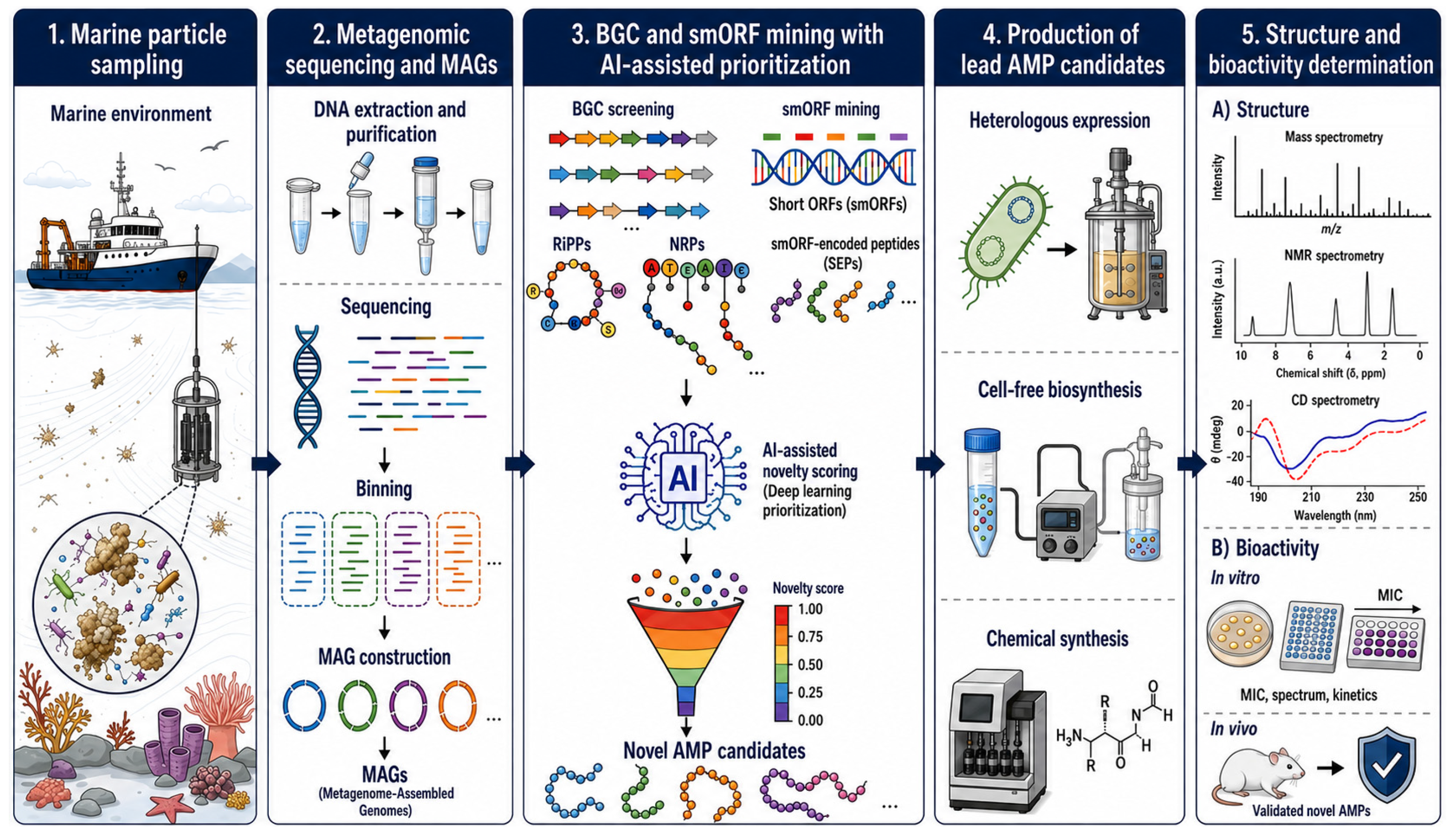 Preprints 223440 g003 Preprints 223440 g003