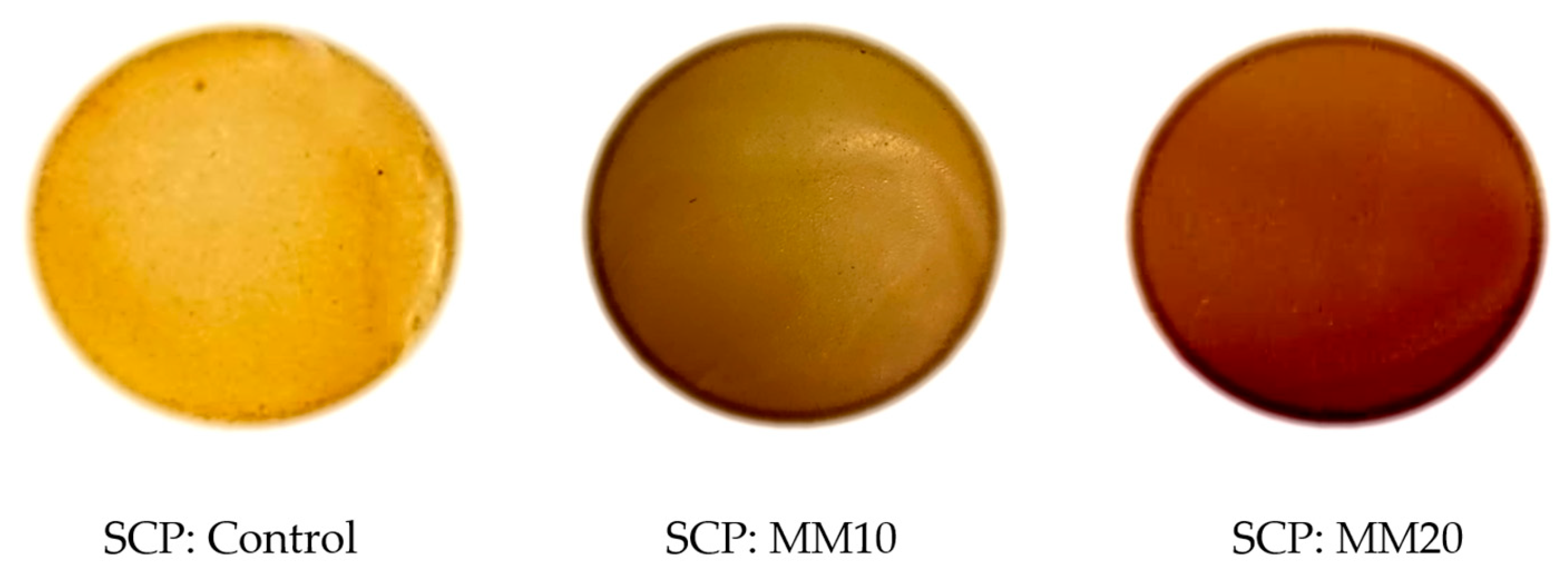 Preprints 228315 g004