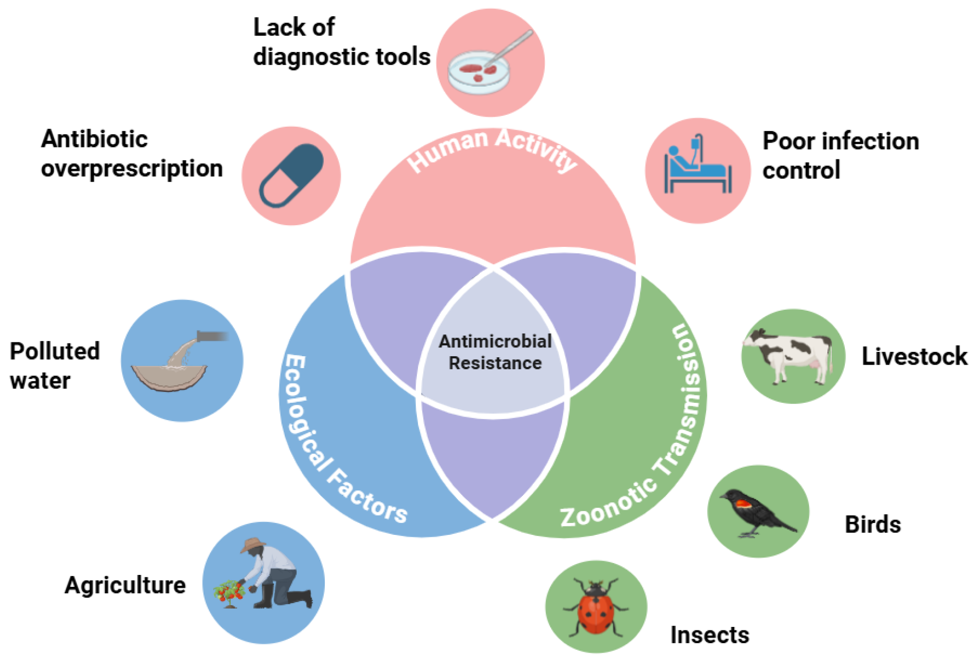 Preprints 163598 g001