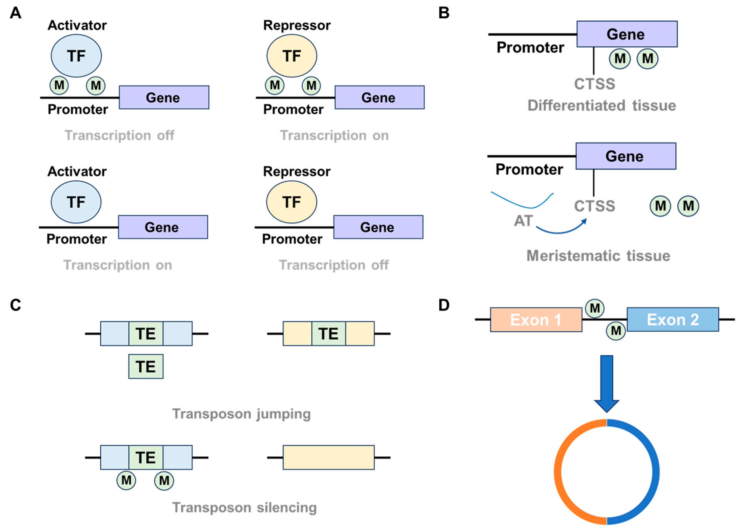 Preprints 141300 g002