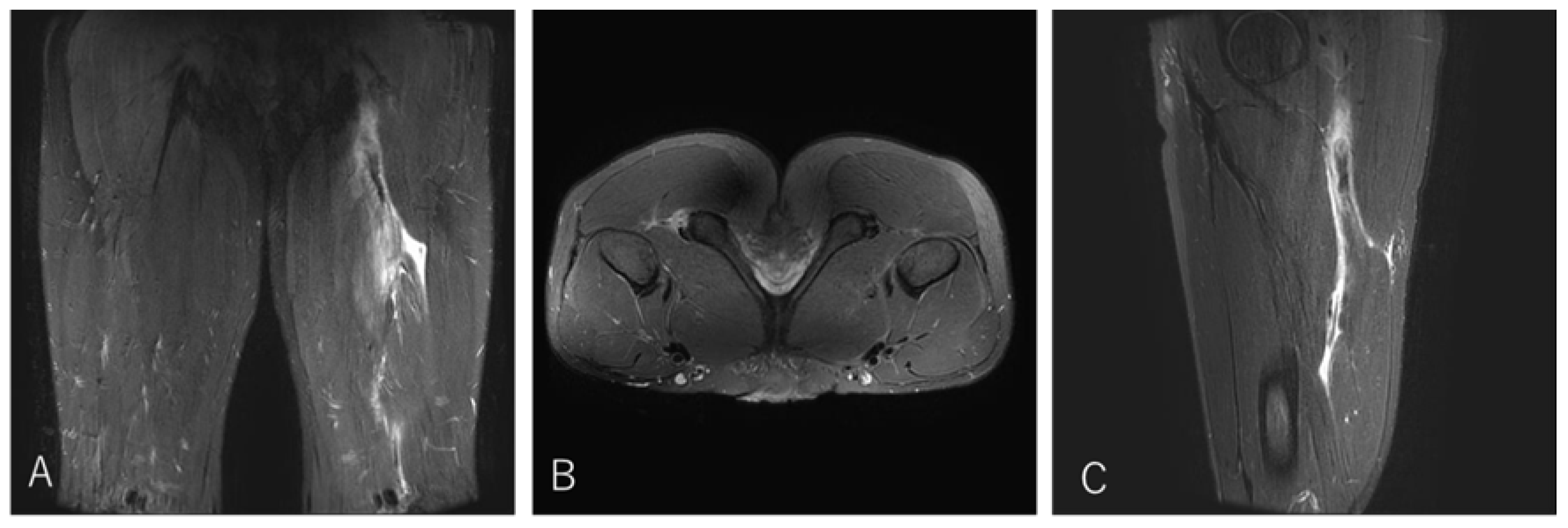 Preprints 186662 g003