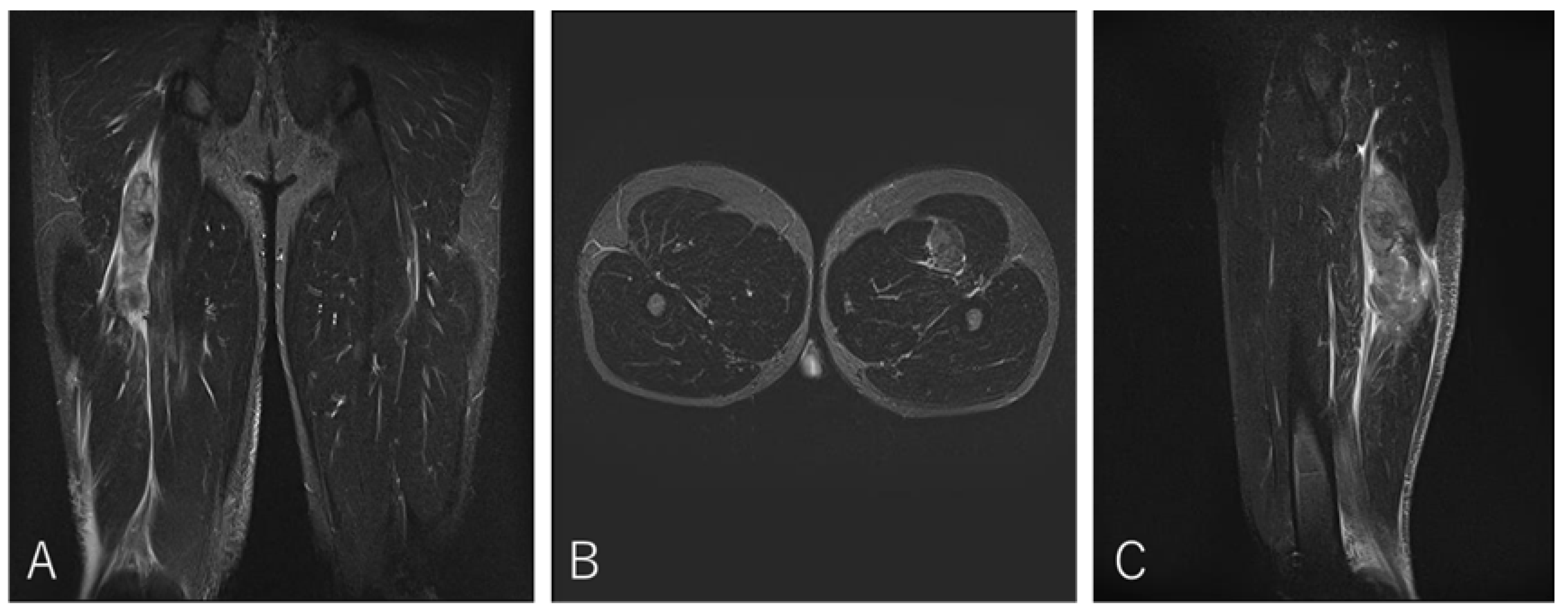 Preprints 186662 g007