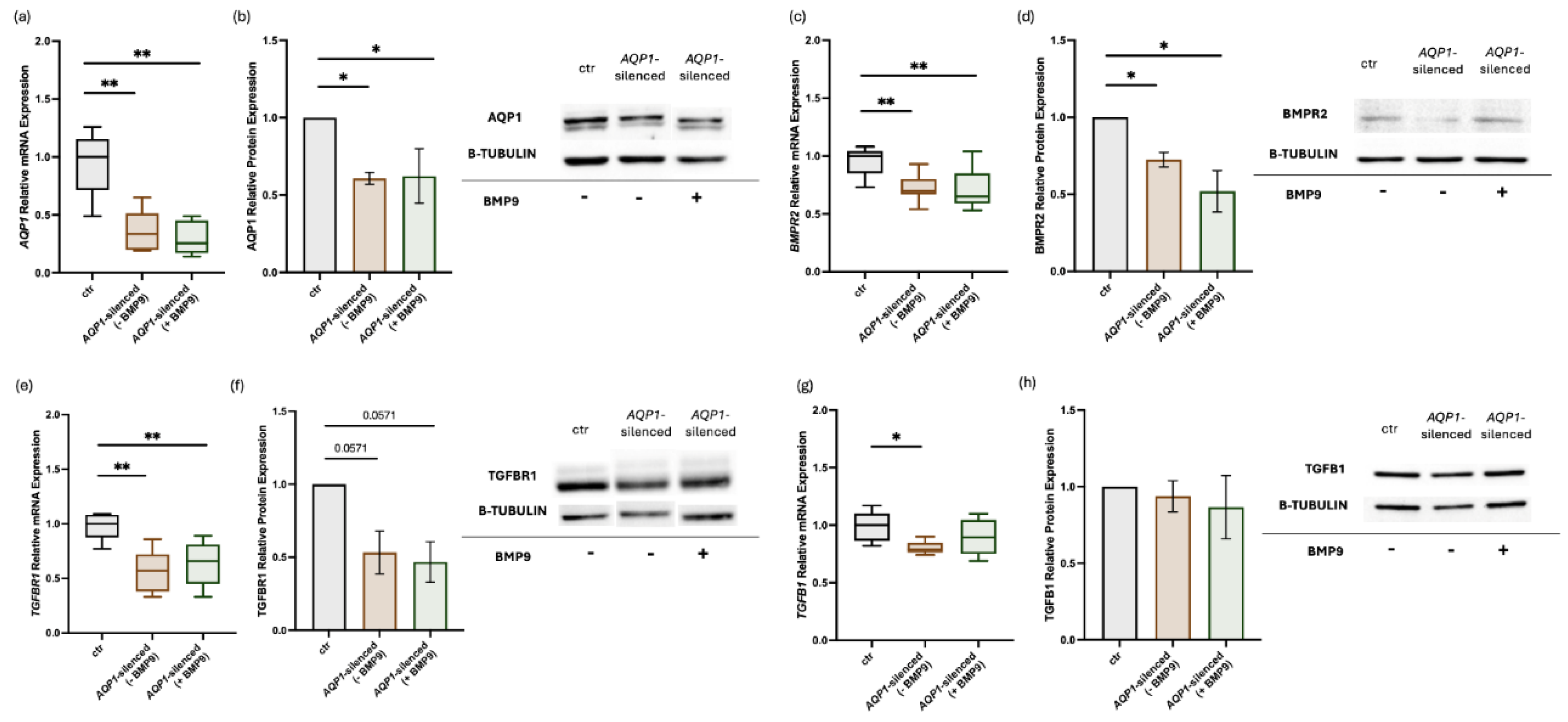 Preprints 162676 g001