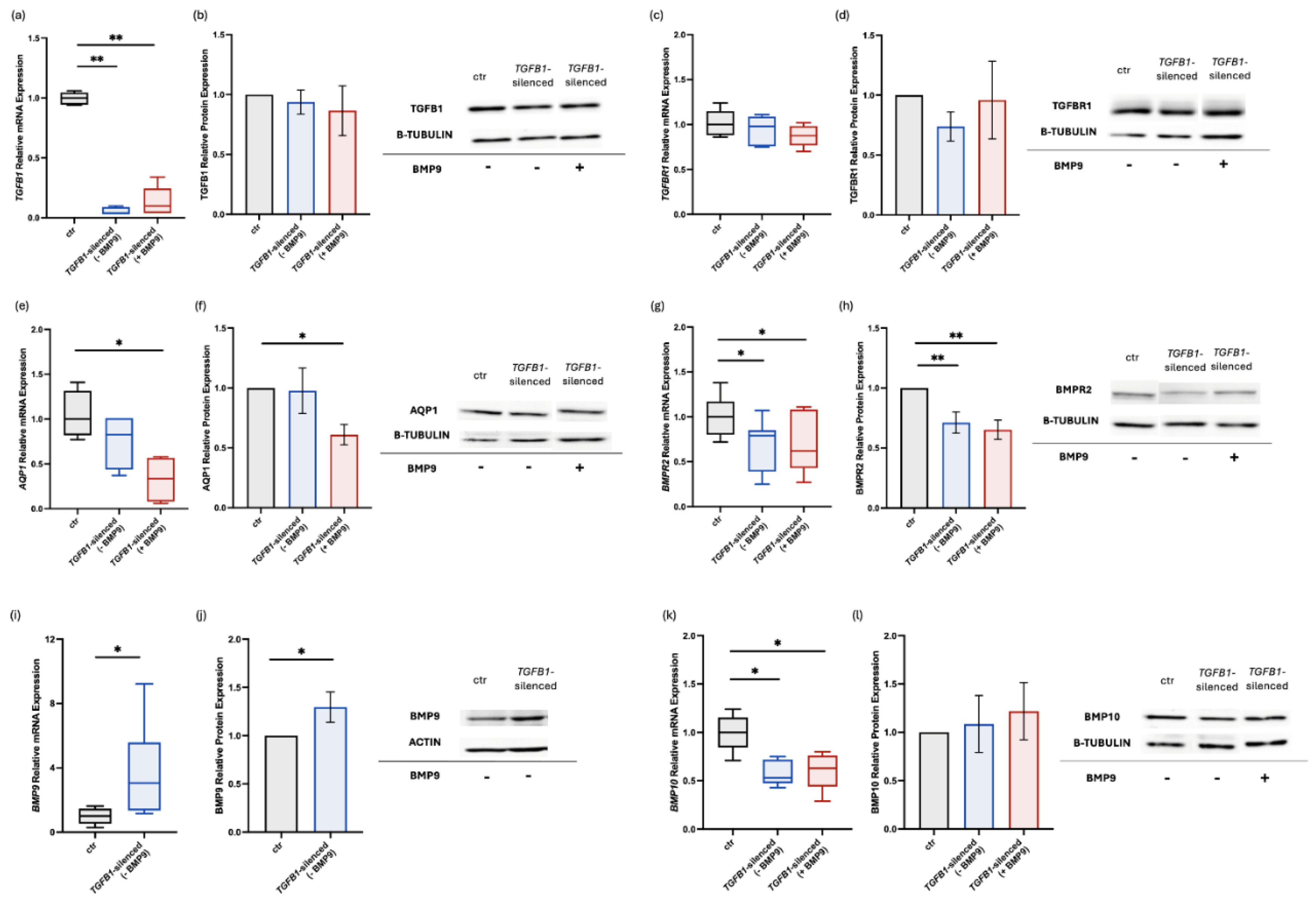 Preprints 162676 g002