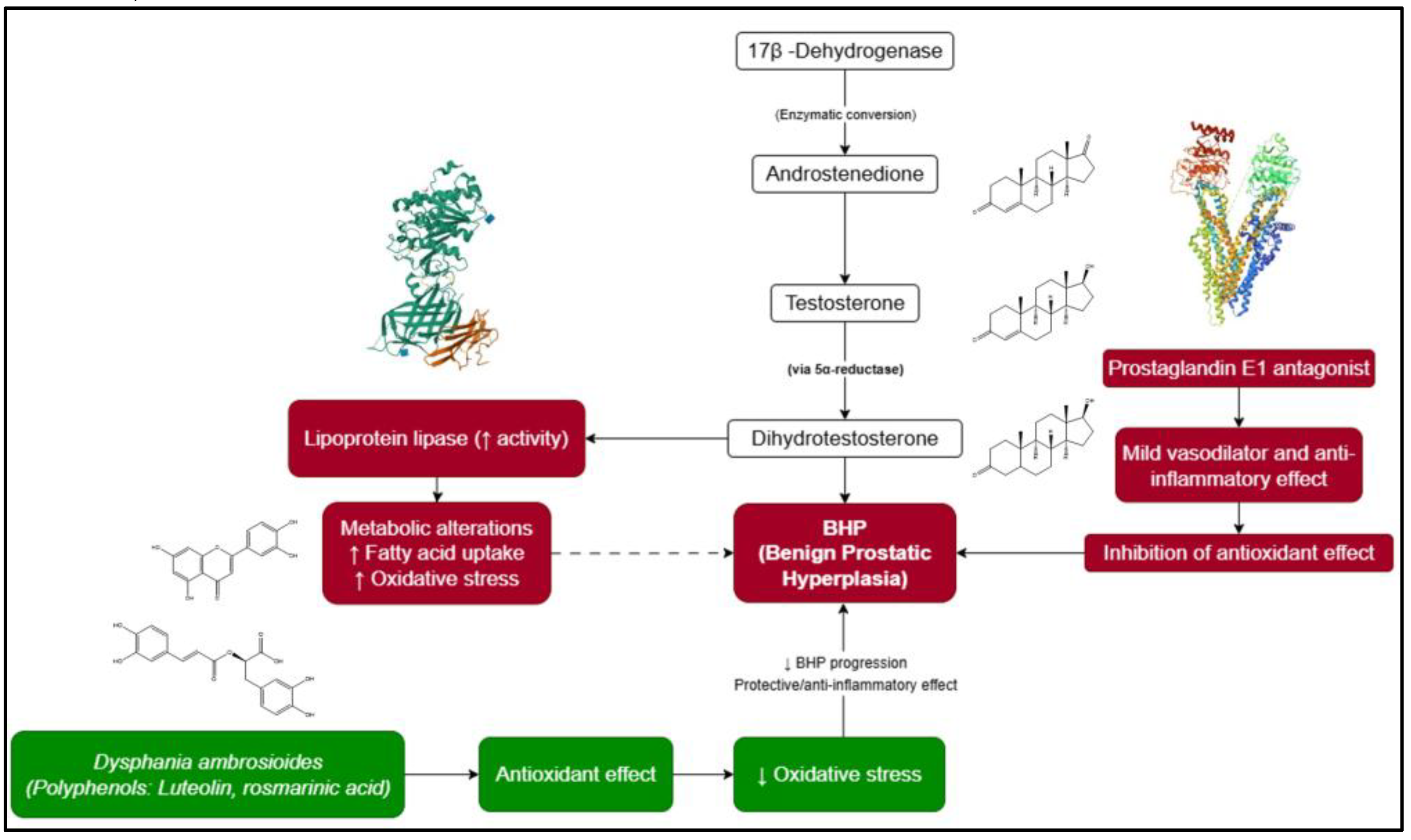 Preprints 181197 g001