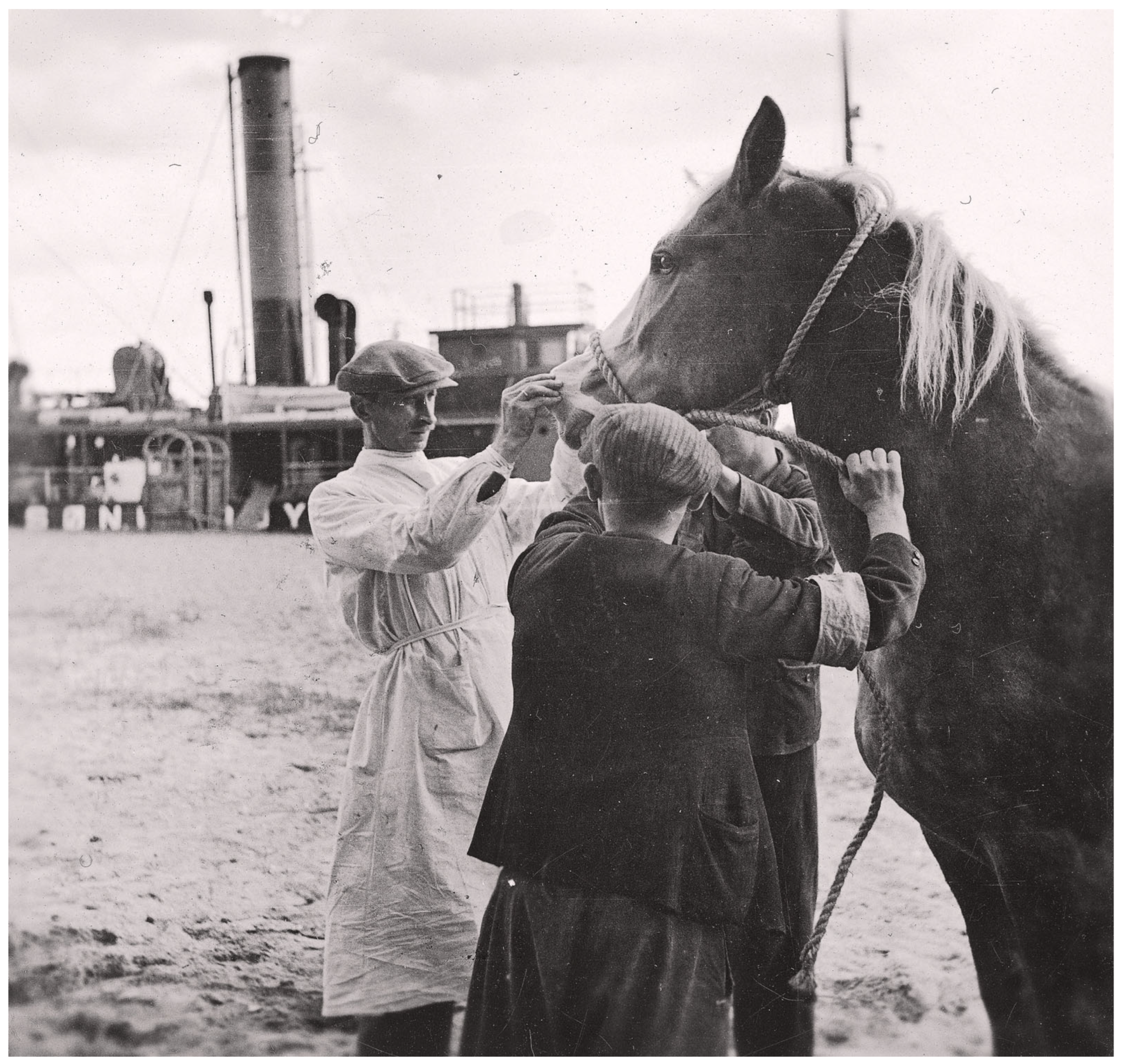 Preprints 184881 g002