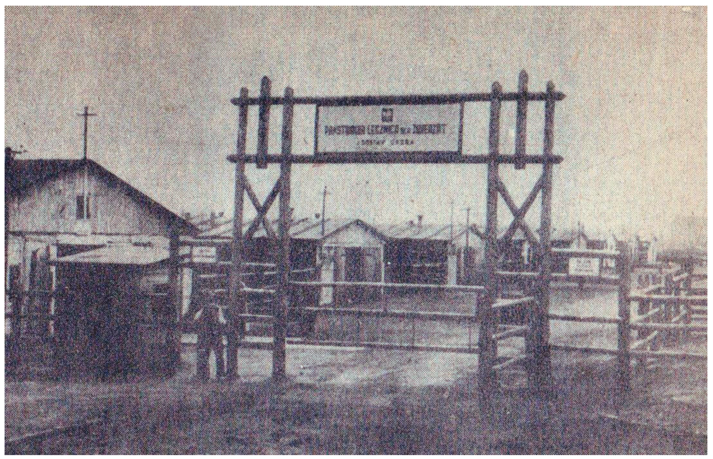 Preprints 184881 g003