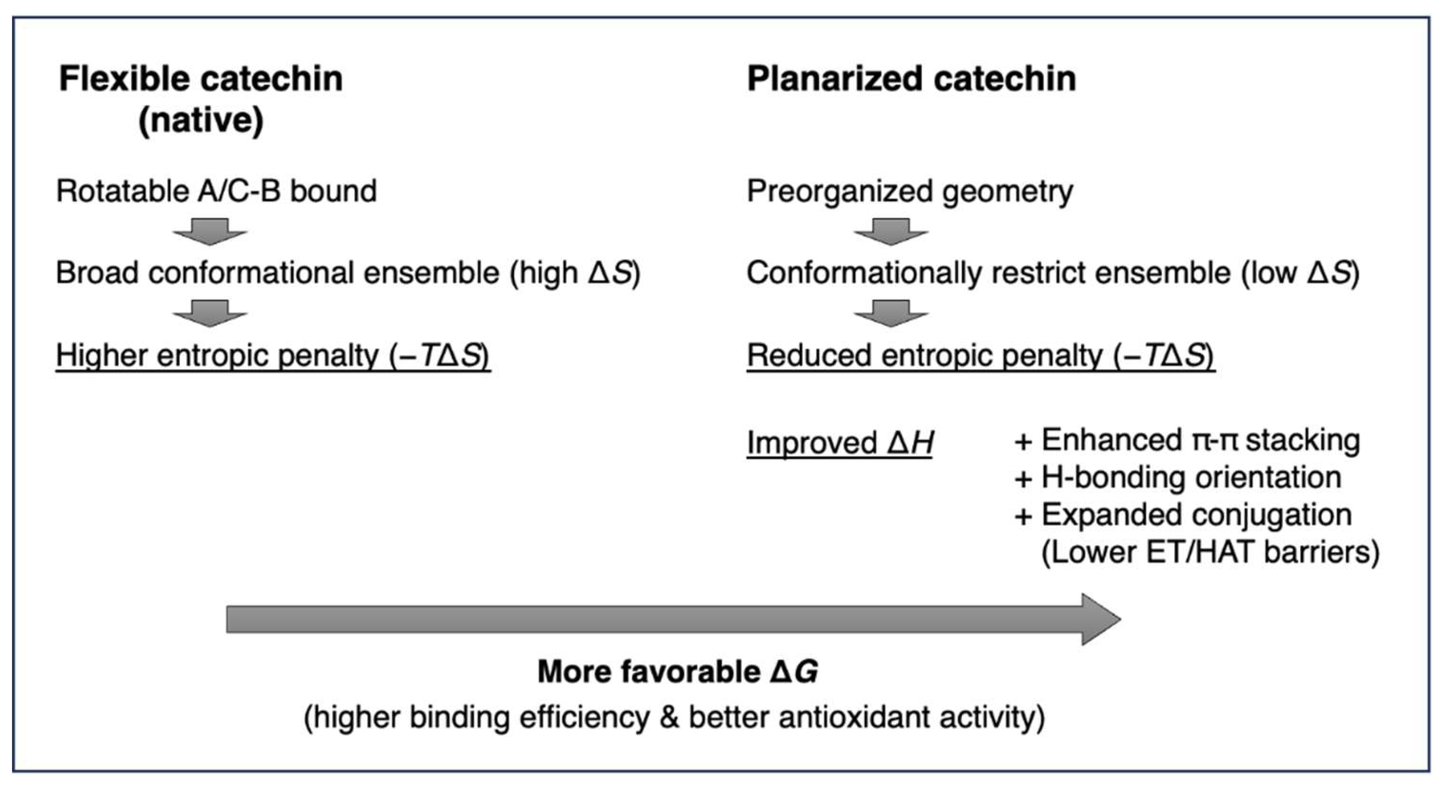 Preprints 224249 g003