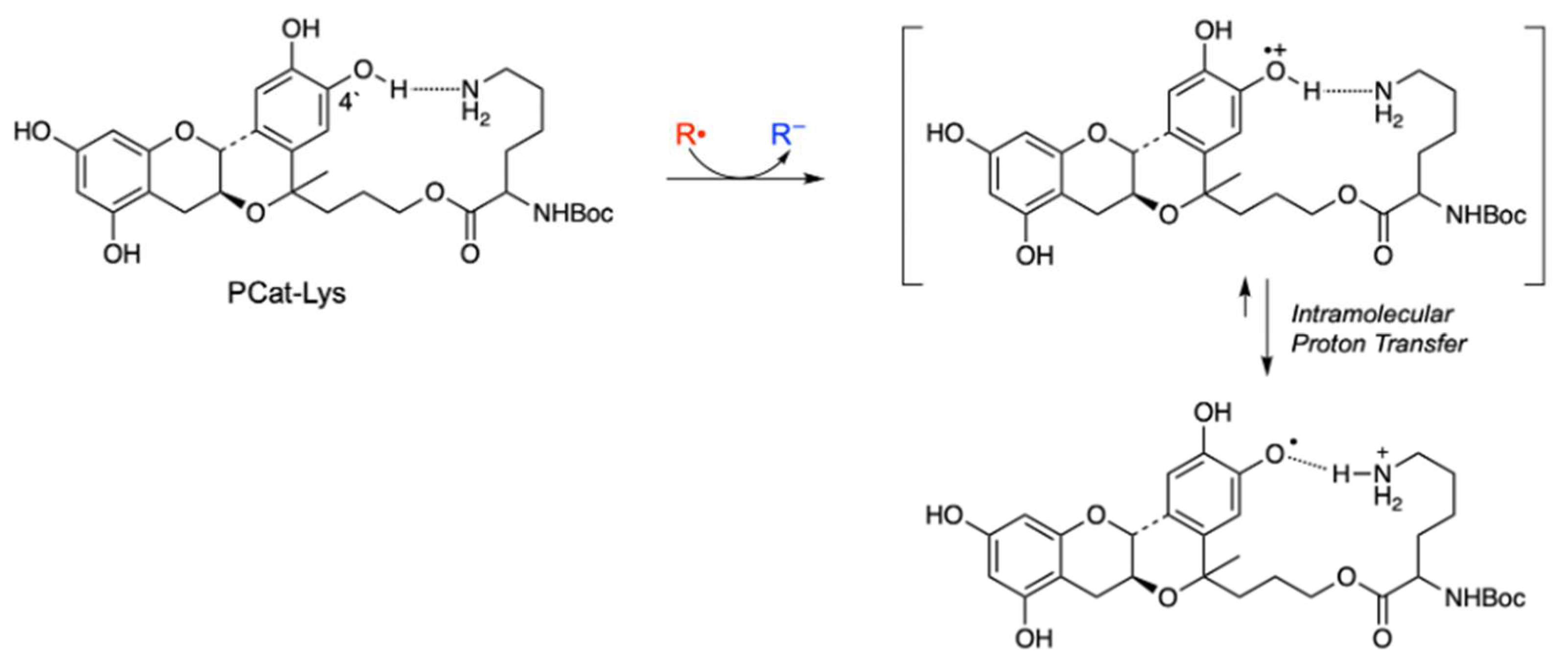 Preprints 224249 g005