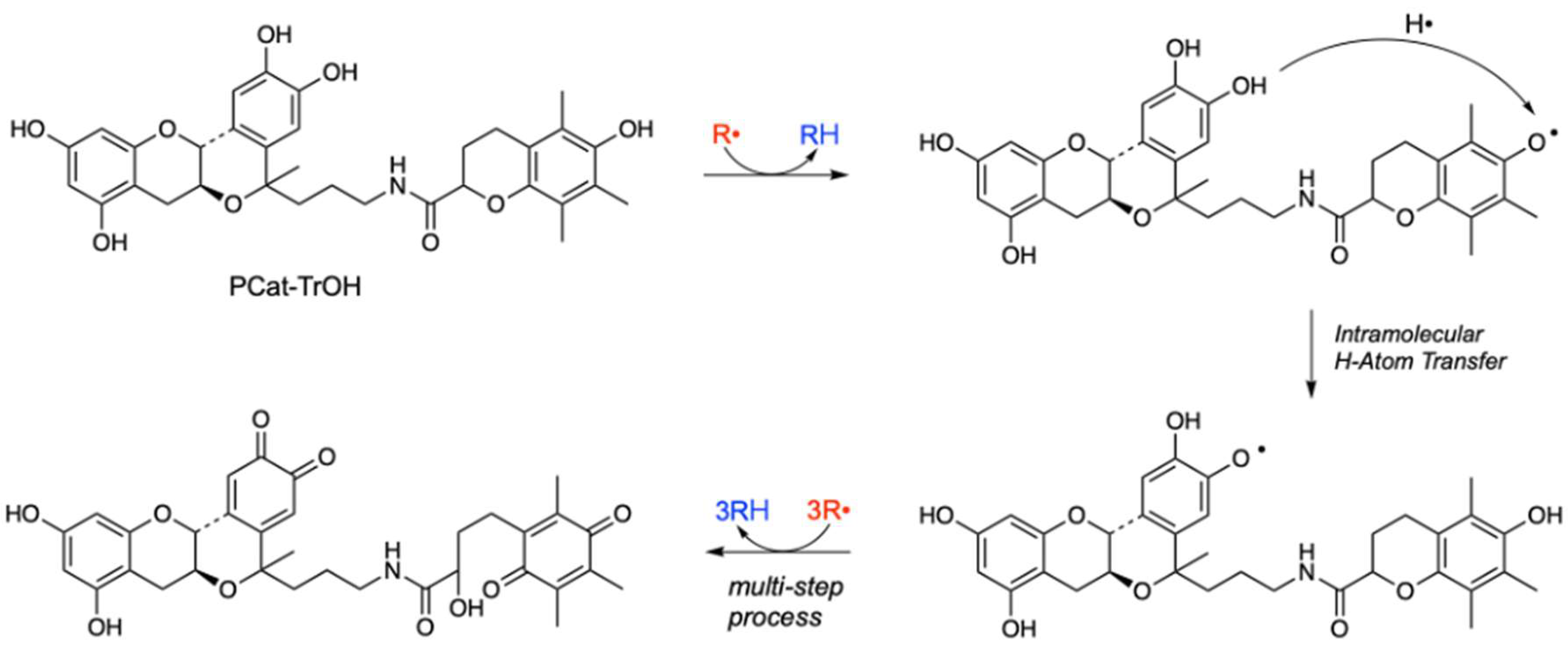 Preprints 224249 g006