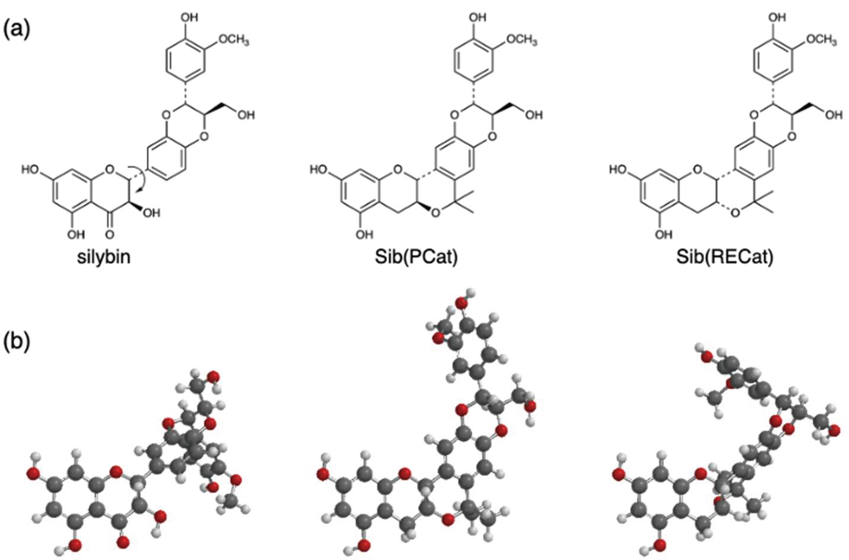 Preprints 224249 g009
