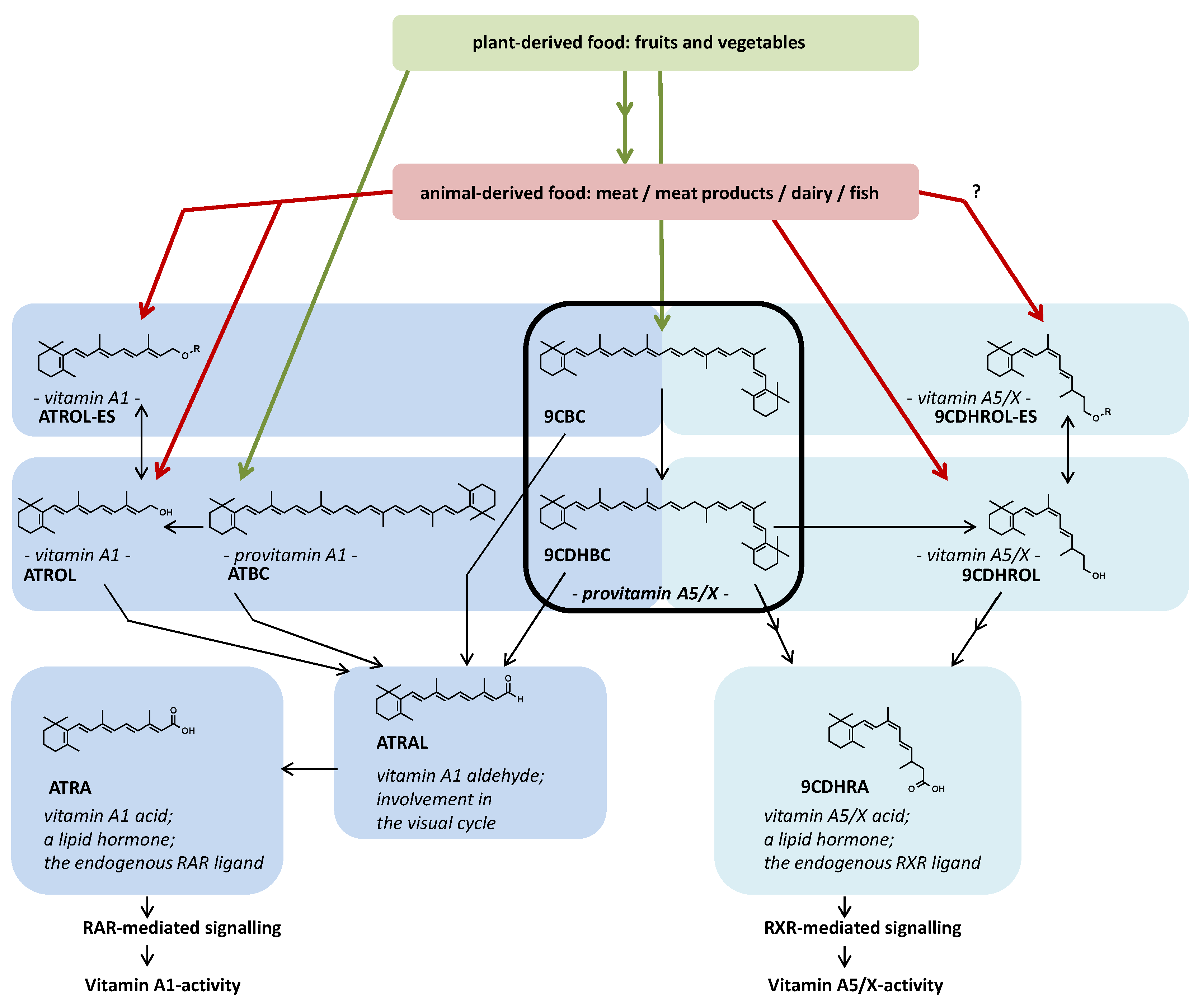 Preprints 141585 g001