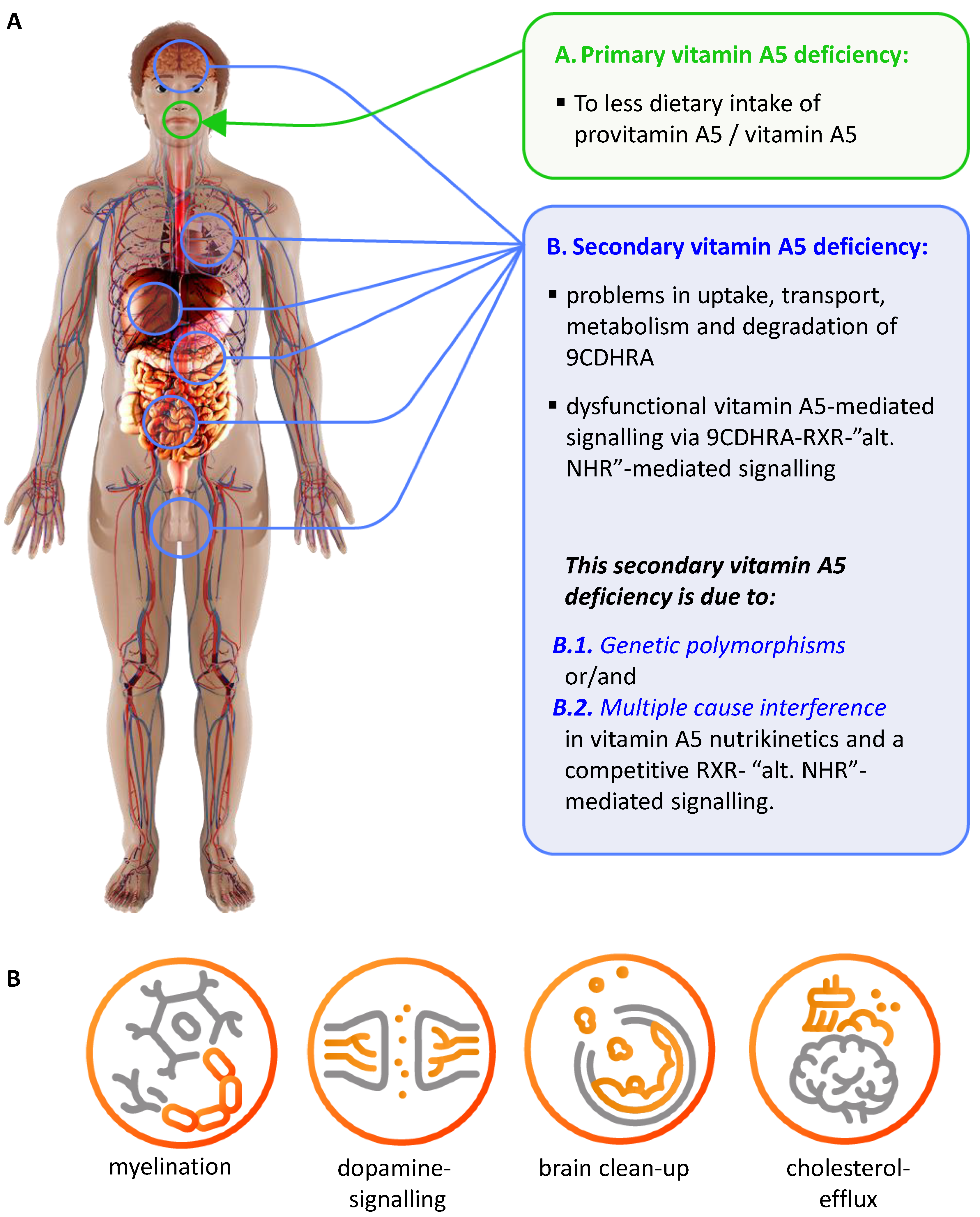 Preprints 141585 g004