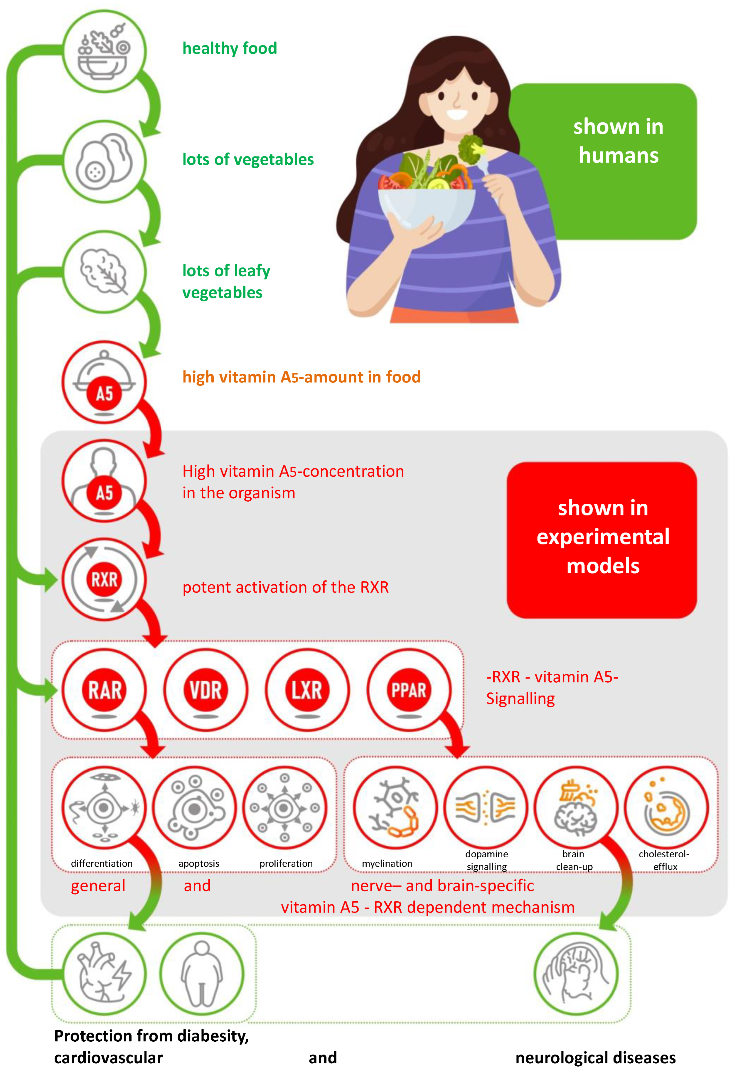 Preprints 141585 g006