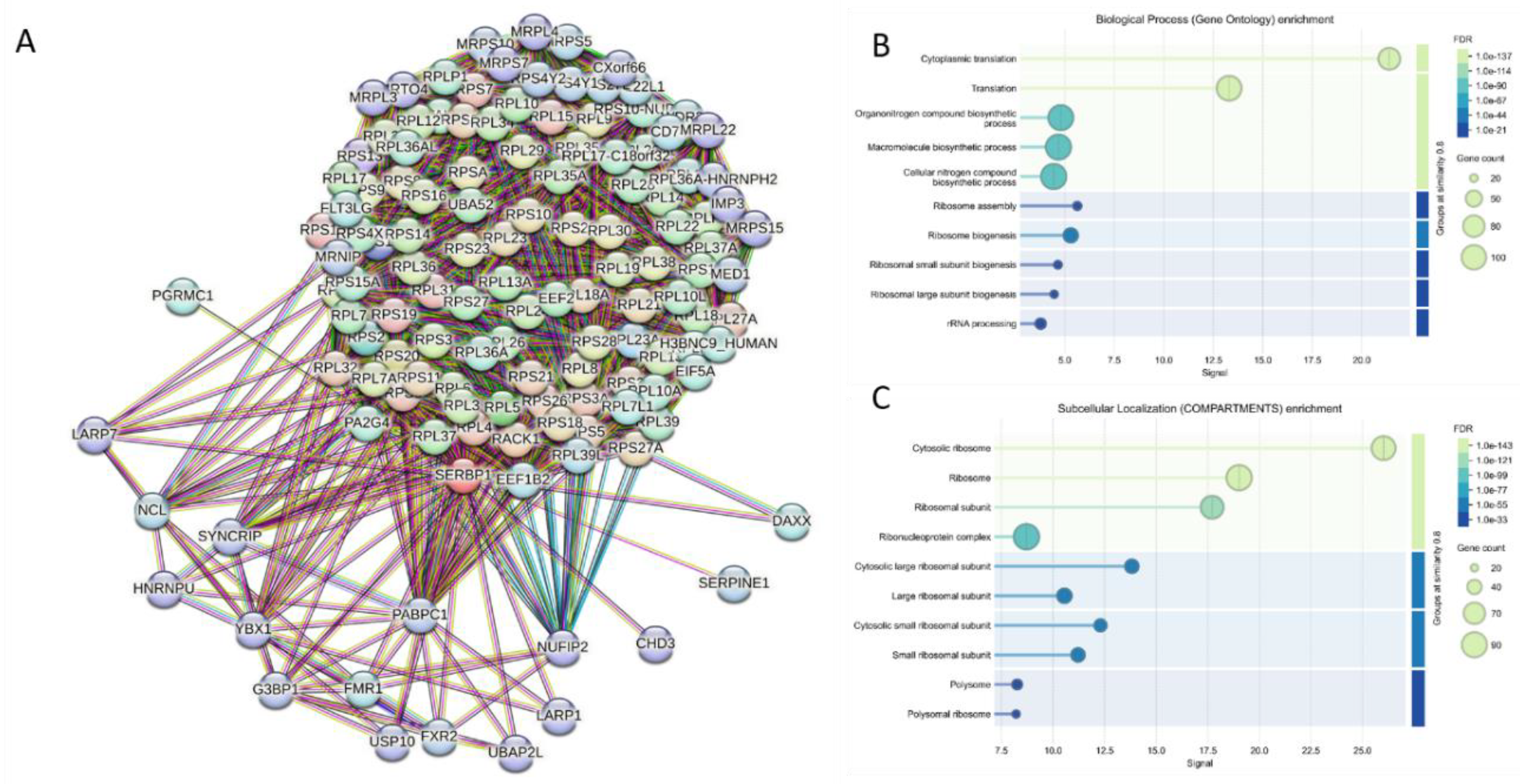 Preprints 219218 g012 Preprints 219218 g012