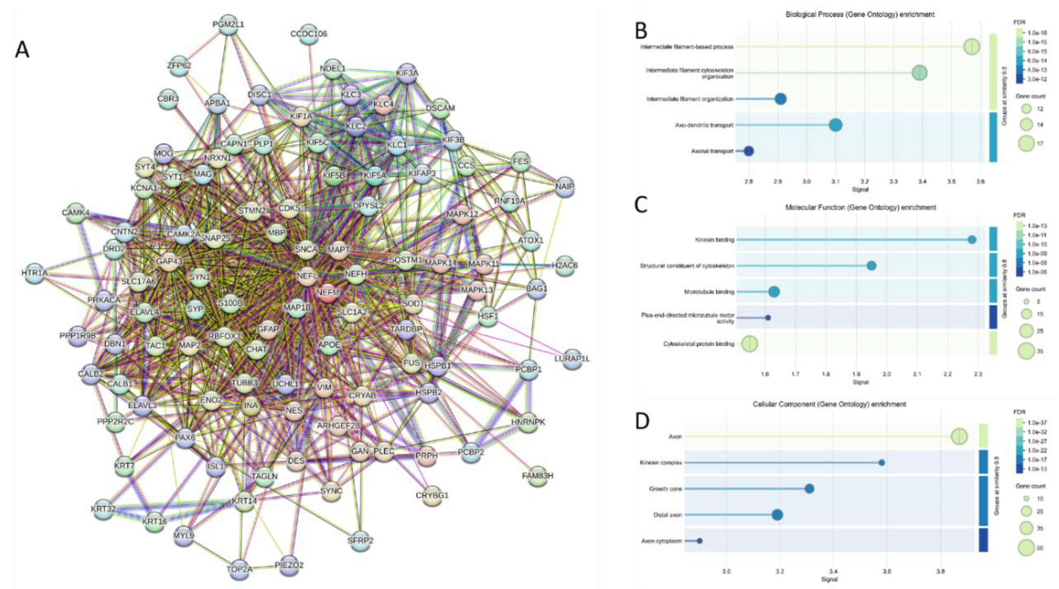 Preprints 219218 g013 Preprints 219218 g013