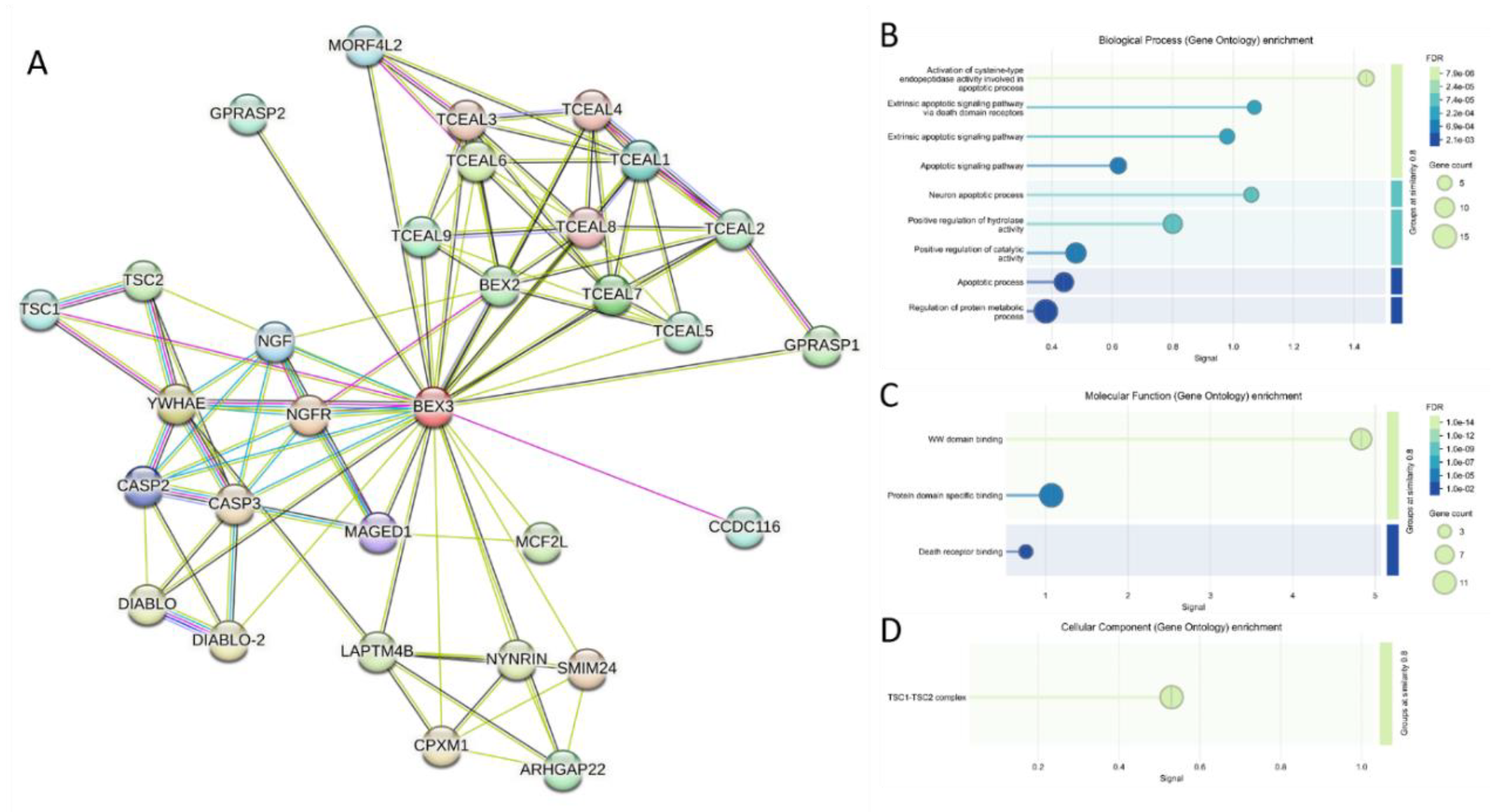 Preprints 219218 g014 Preprints 219218 g014