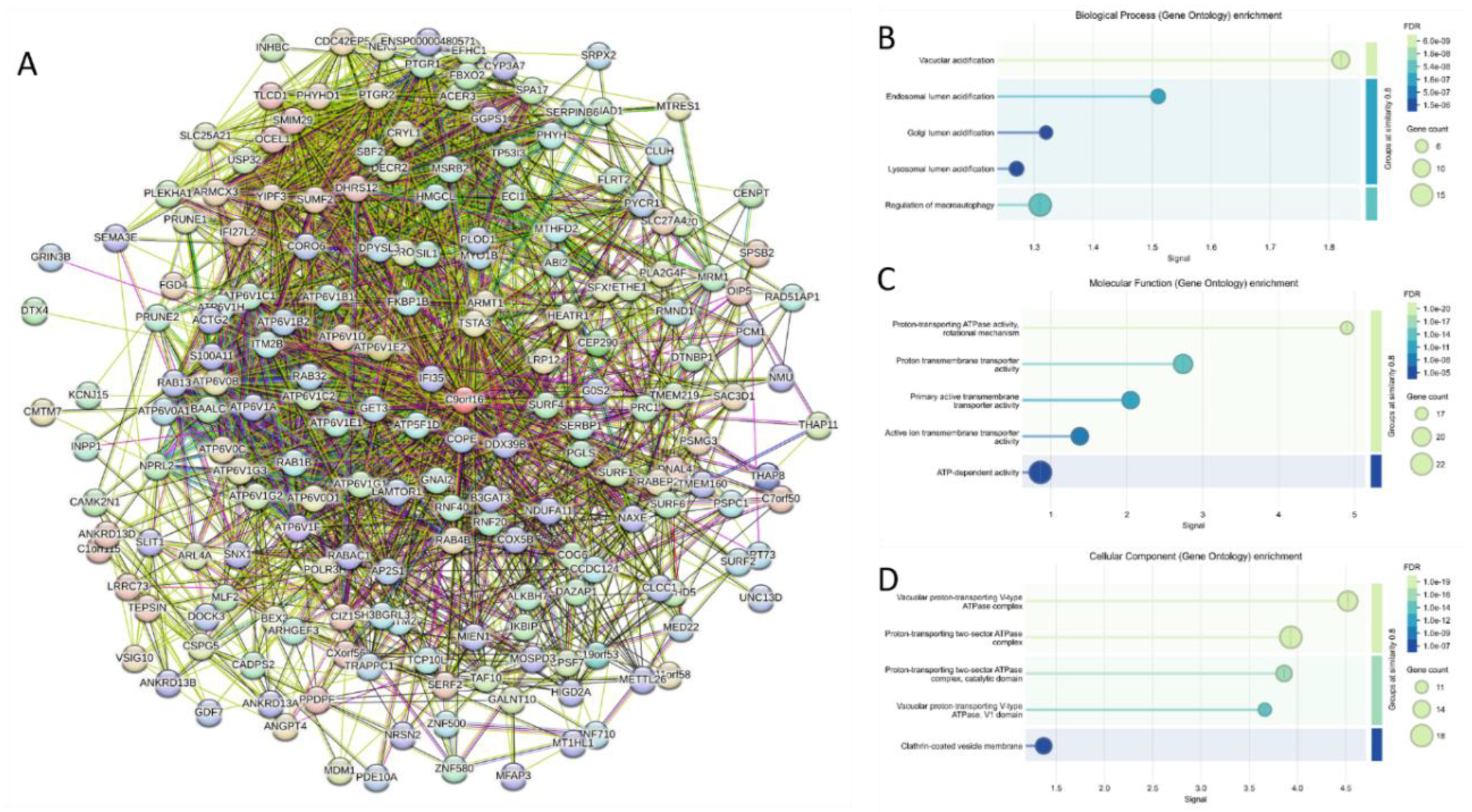 Preprints 219218 g015 Preprints 219218 g015