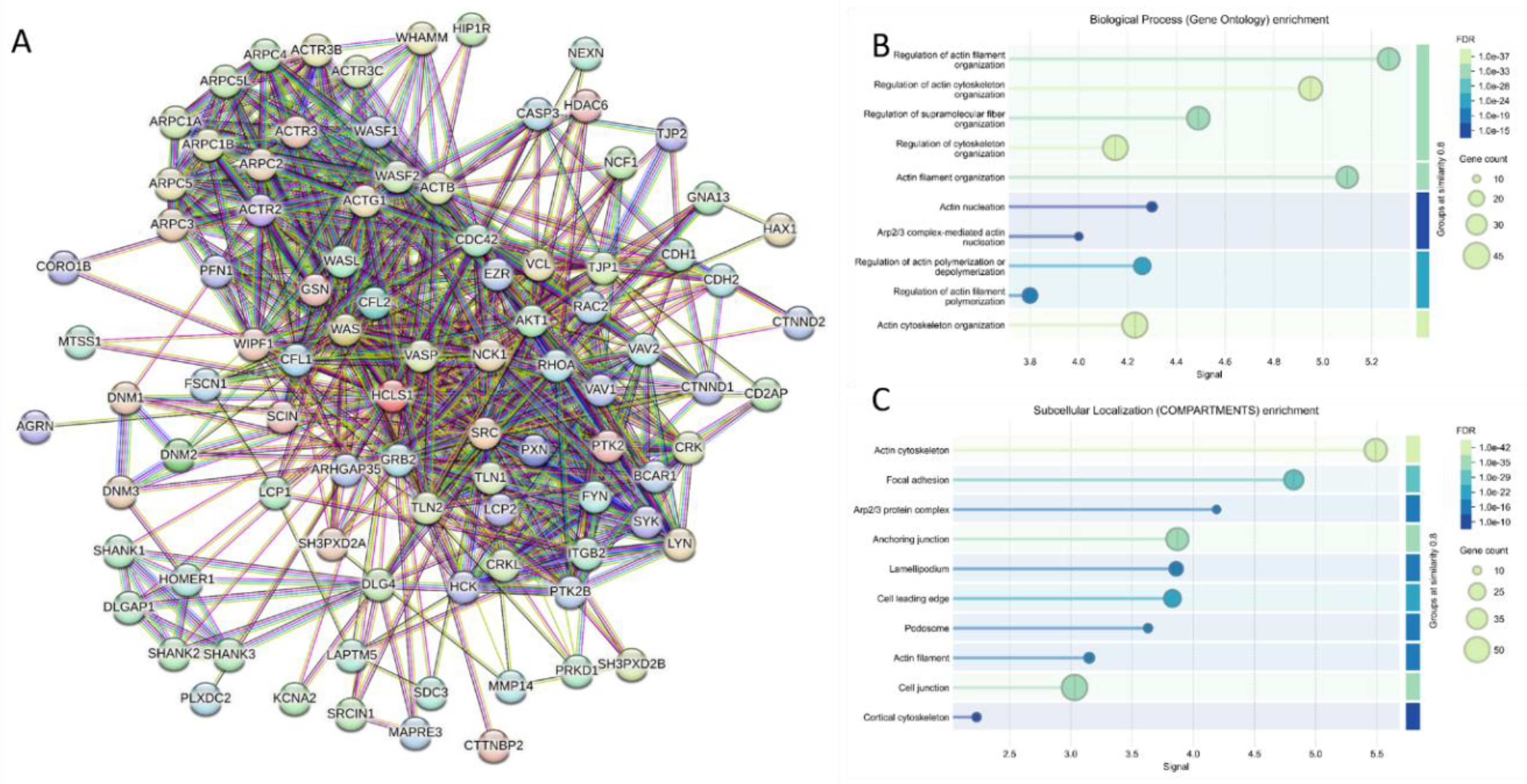 Preprints 219218 g016 Preprints 219218 g016