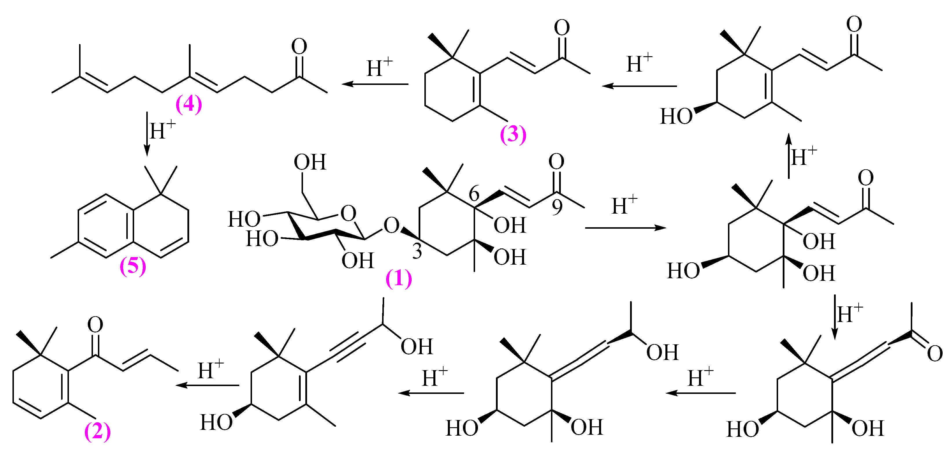 Preprints 89094 g006