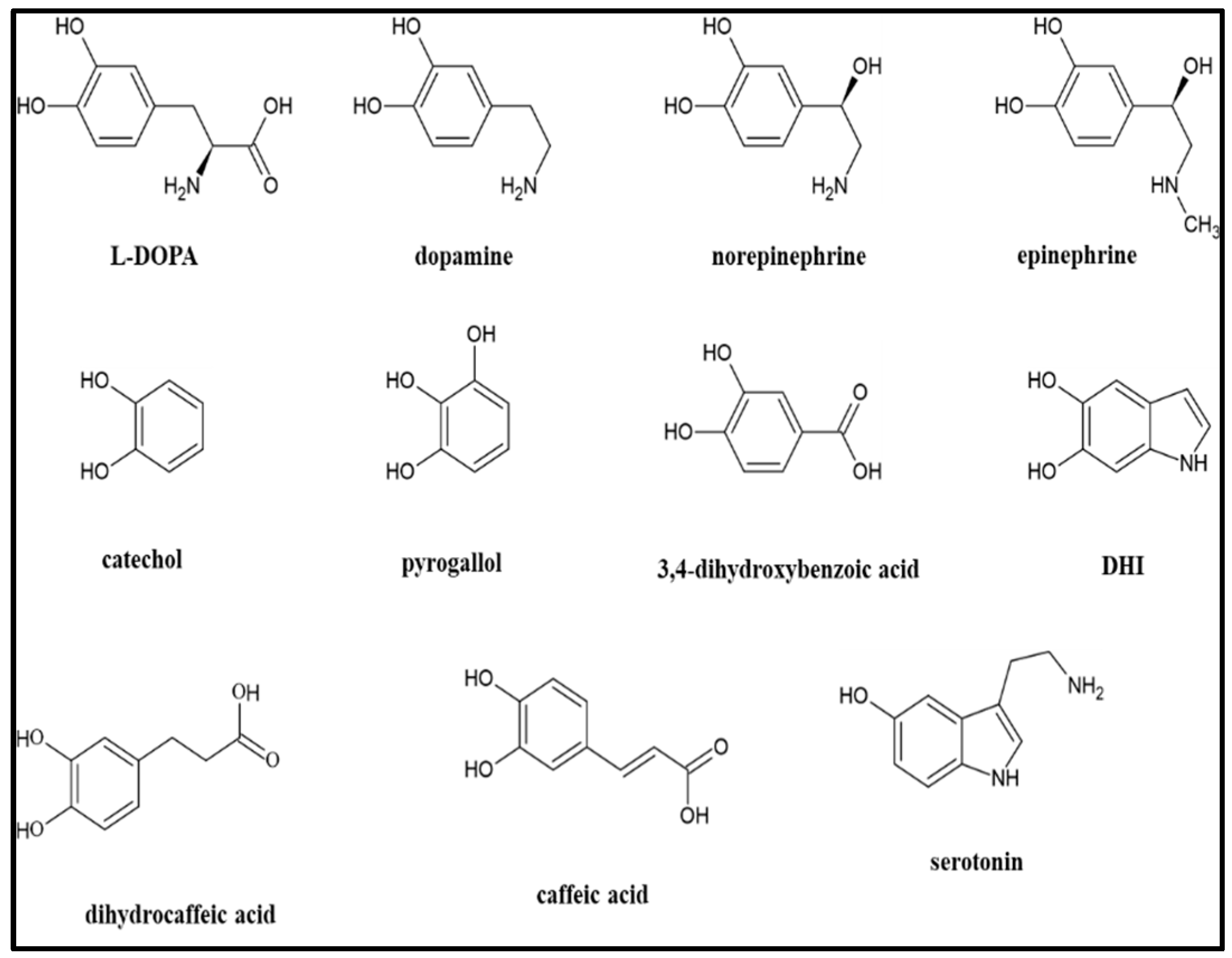 Preprints 177184 g001